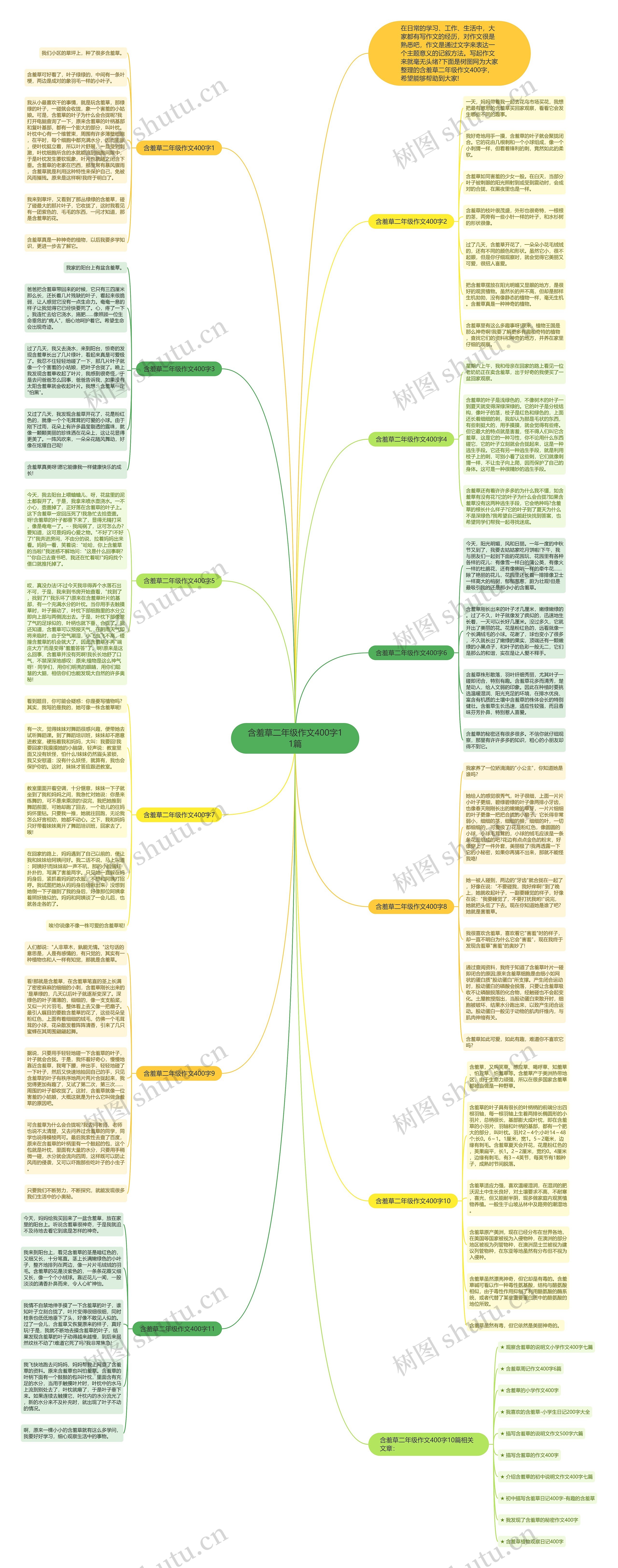 含羞草二年级作文400字11篇思维导图