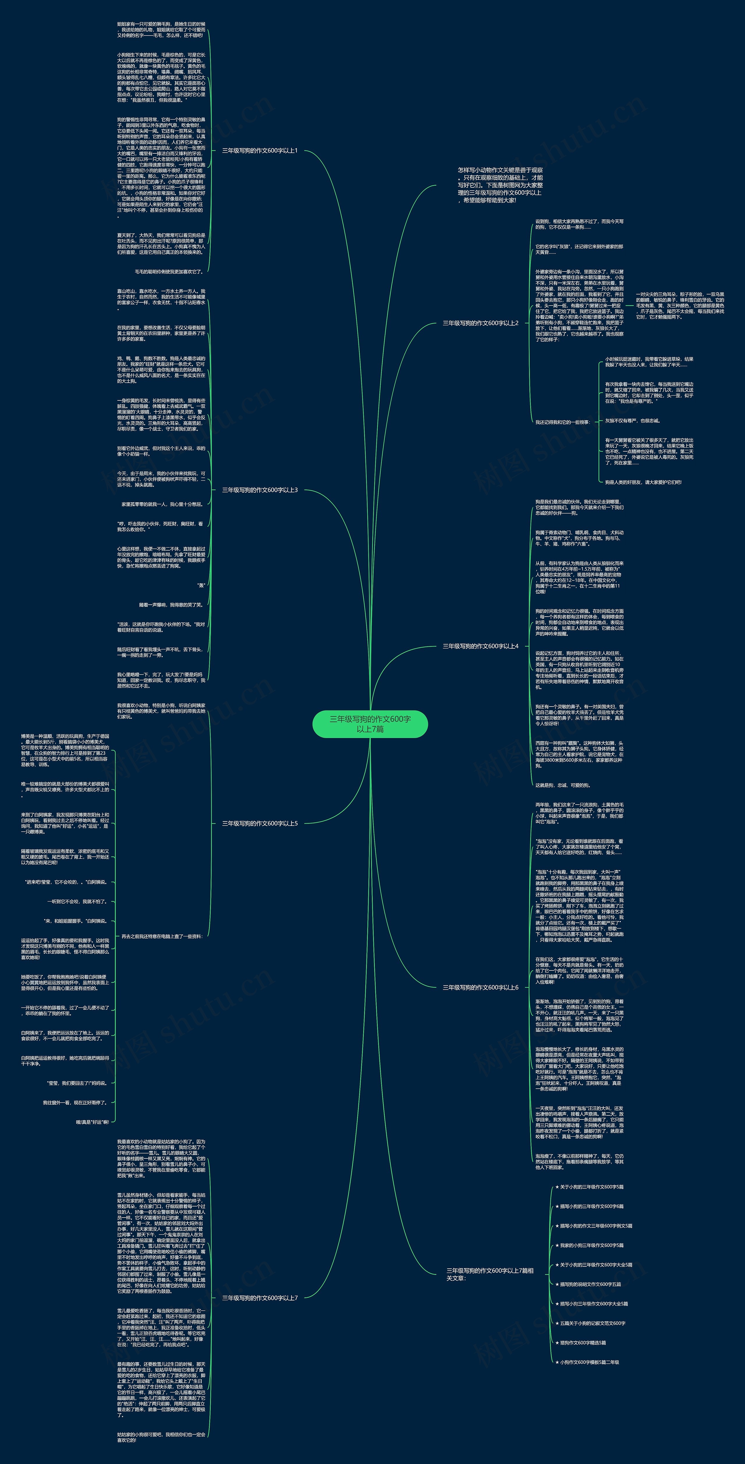 三年级写狗的作文600字以上7篇思维导图