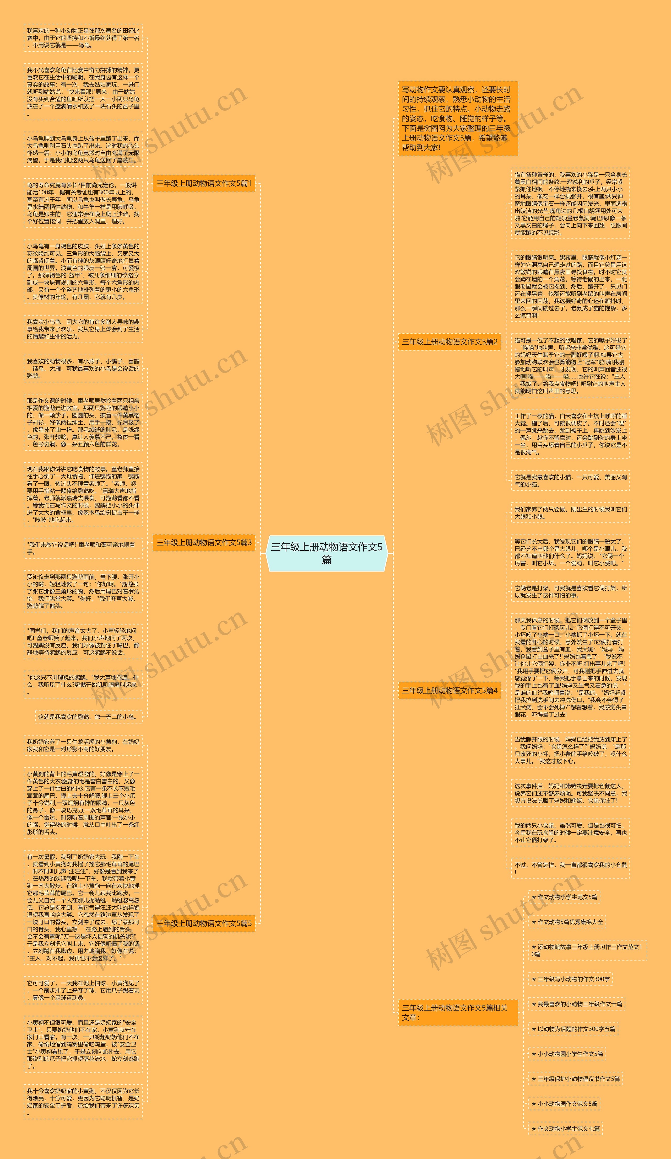 三年级上册动物语文作文5篇思维导图