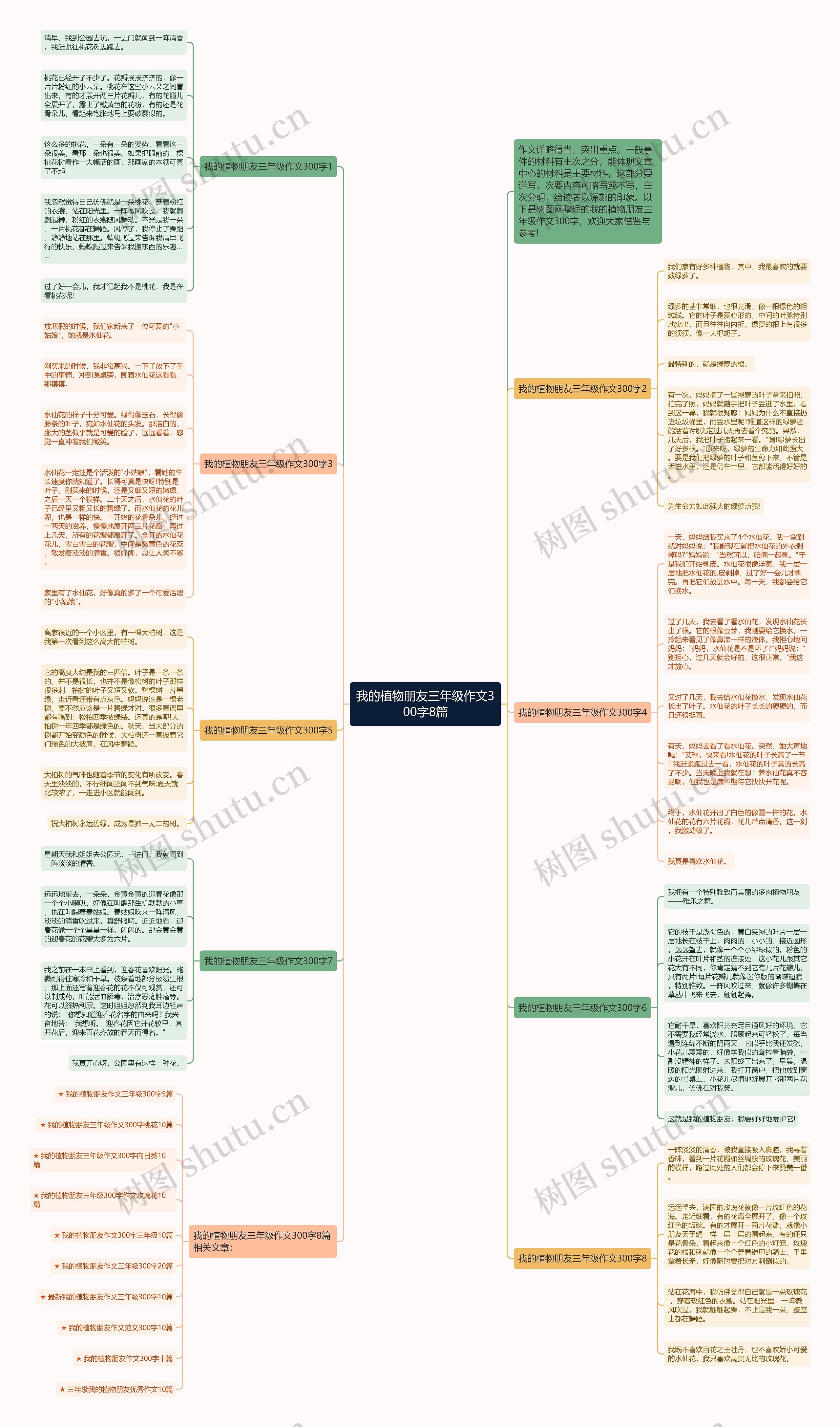我的植物朋友三年级作文300字8篇思维导图高清图 我的植物朋友三年级作文300字8篇思维导图