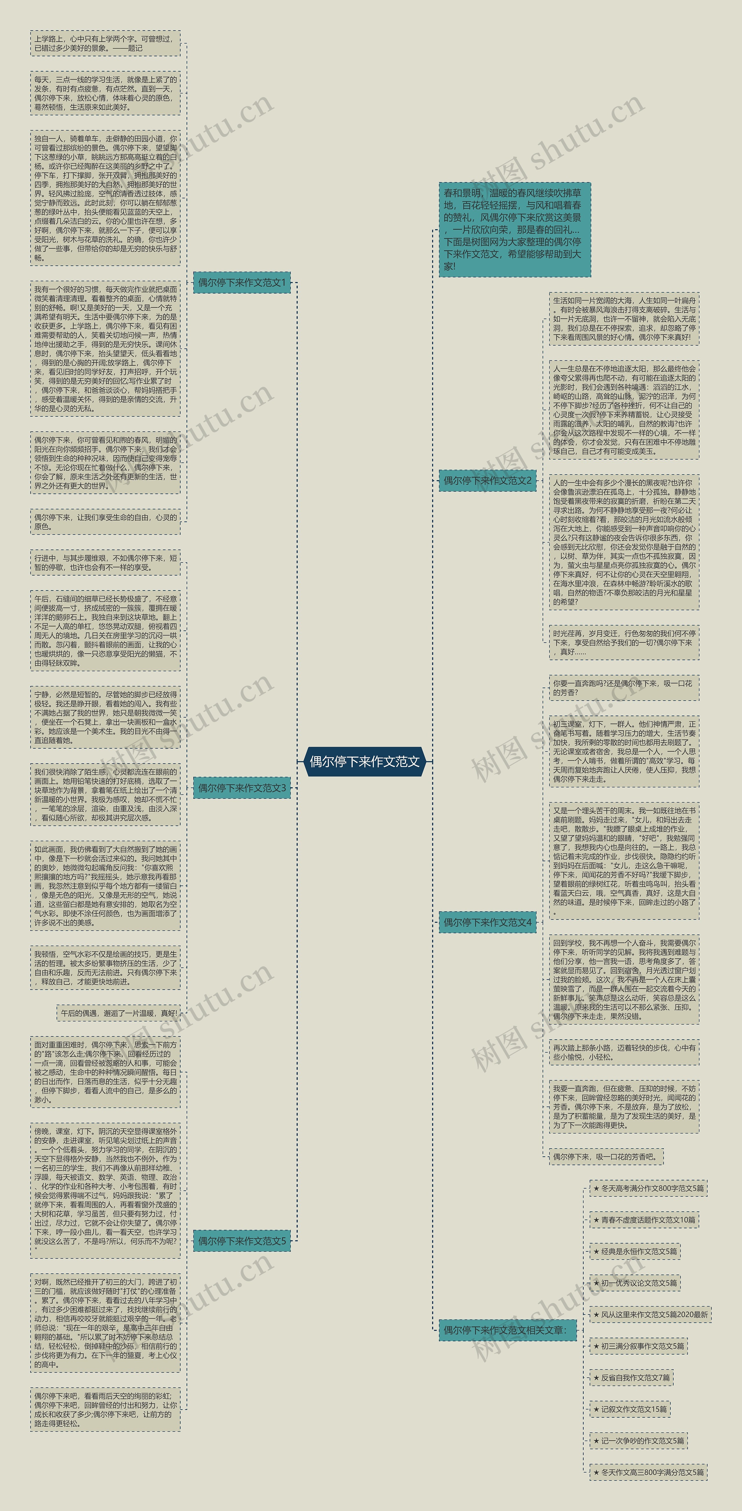 偶尔停下来作文范文思维导图