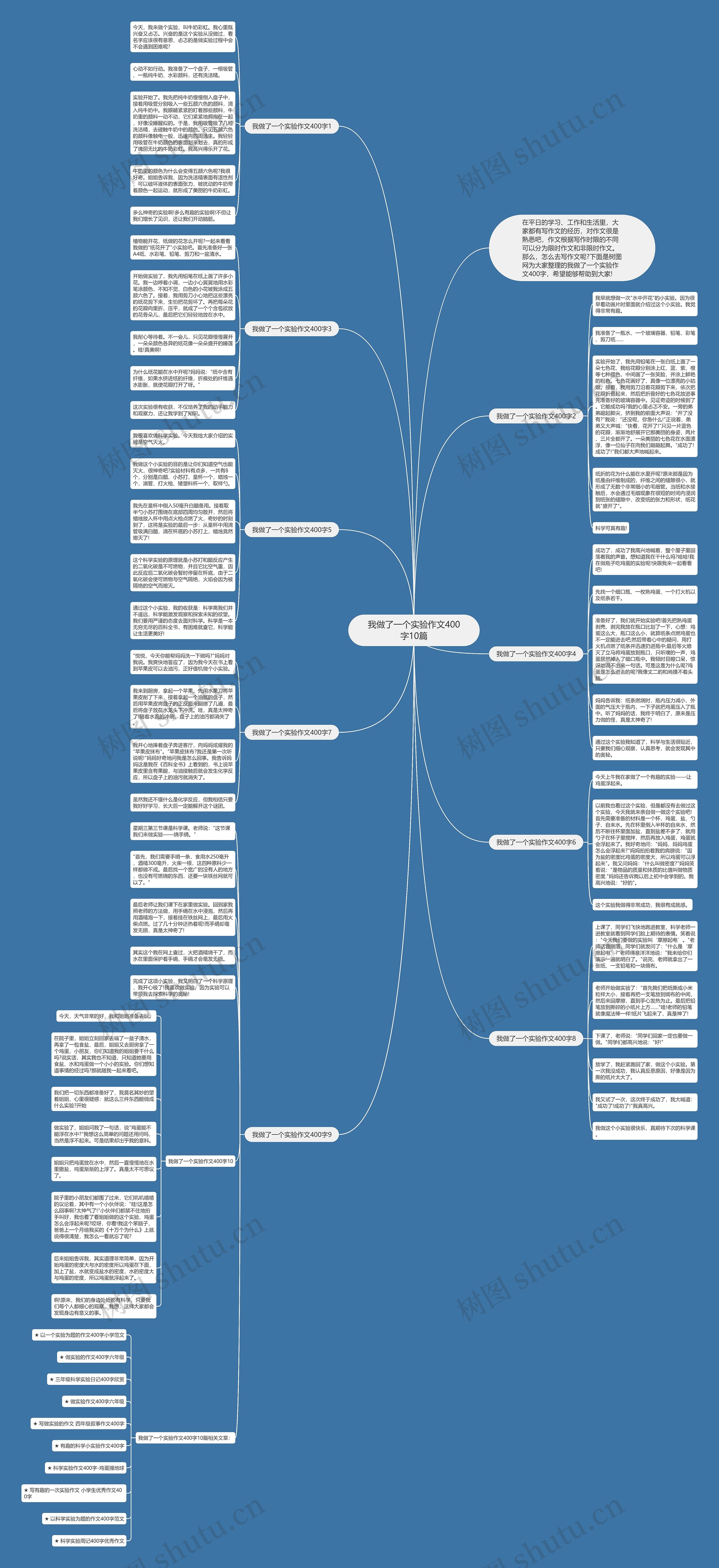 我做了一个实验作文400字10篇