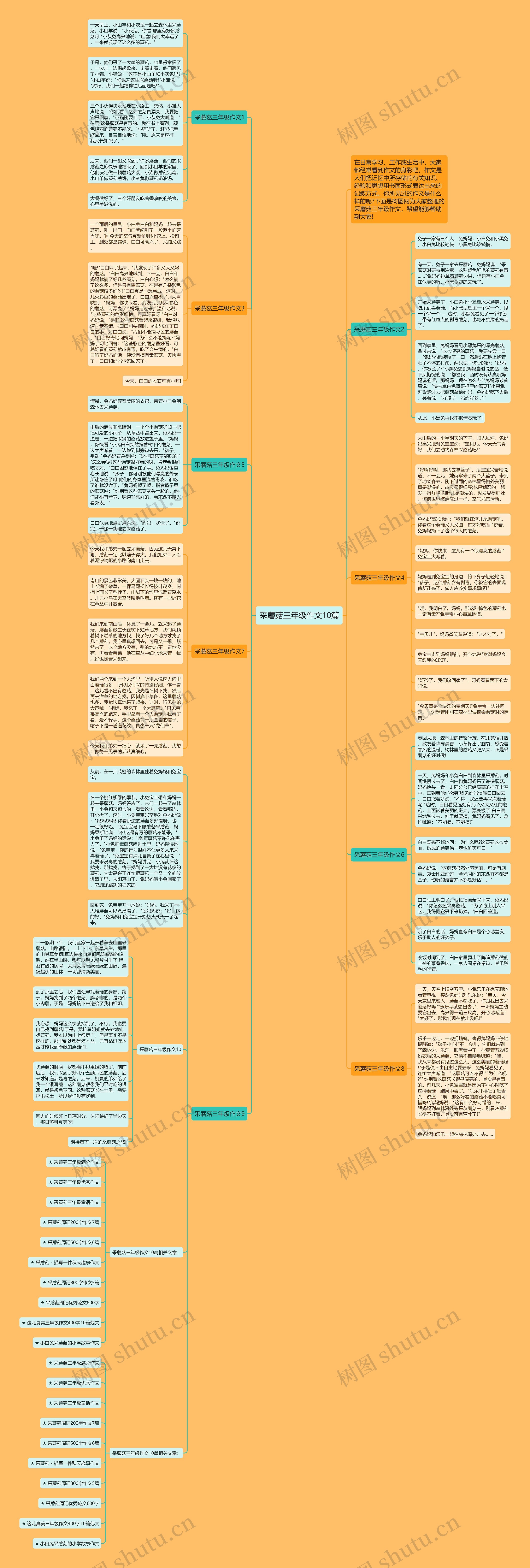 采蘑菇三年级作文10篇思维导图