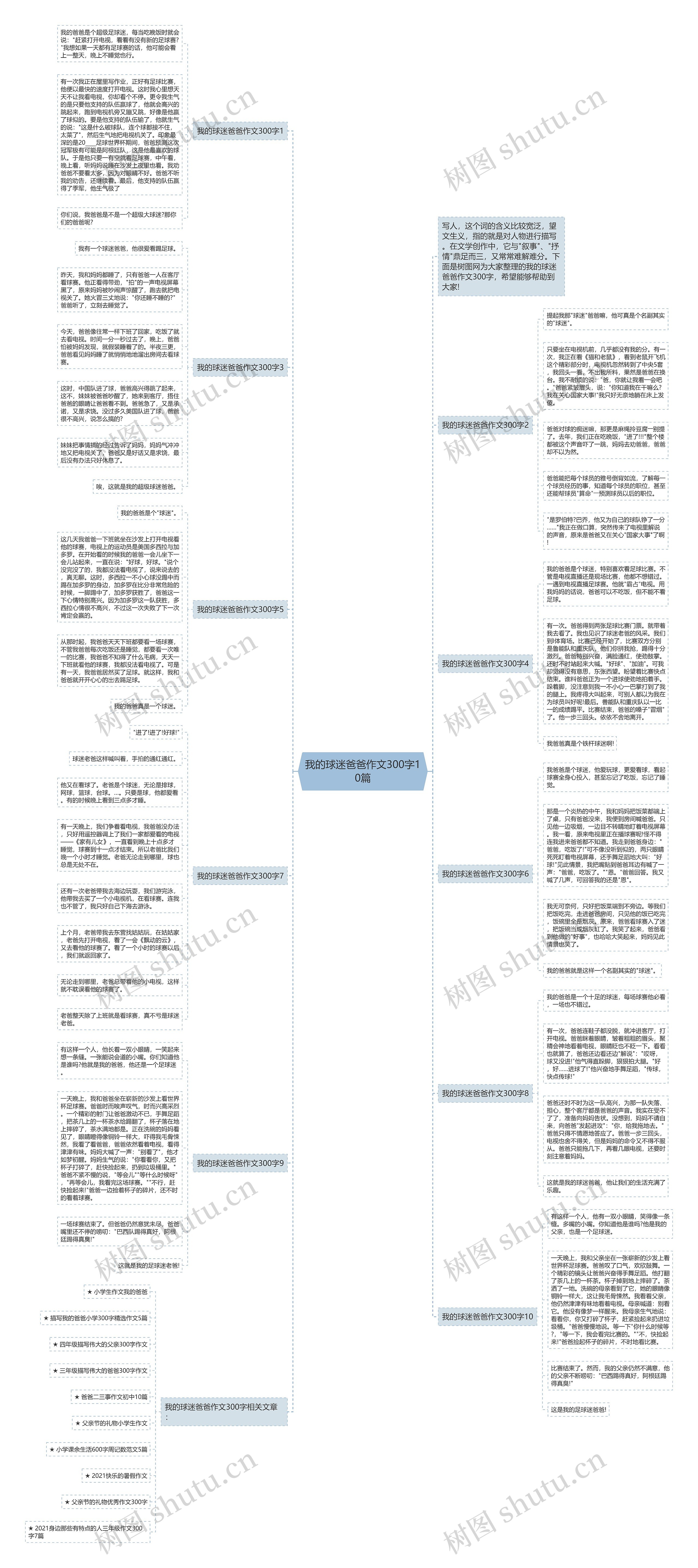 我的球迷爸爸作文300字10篇思维导图