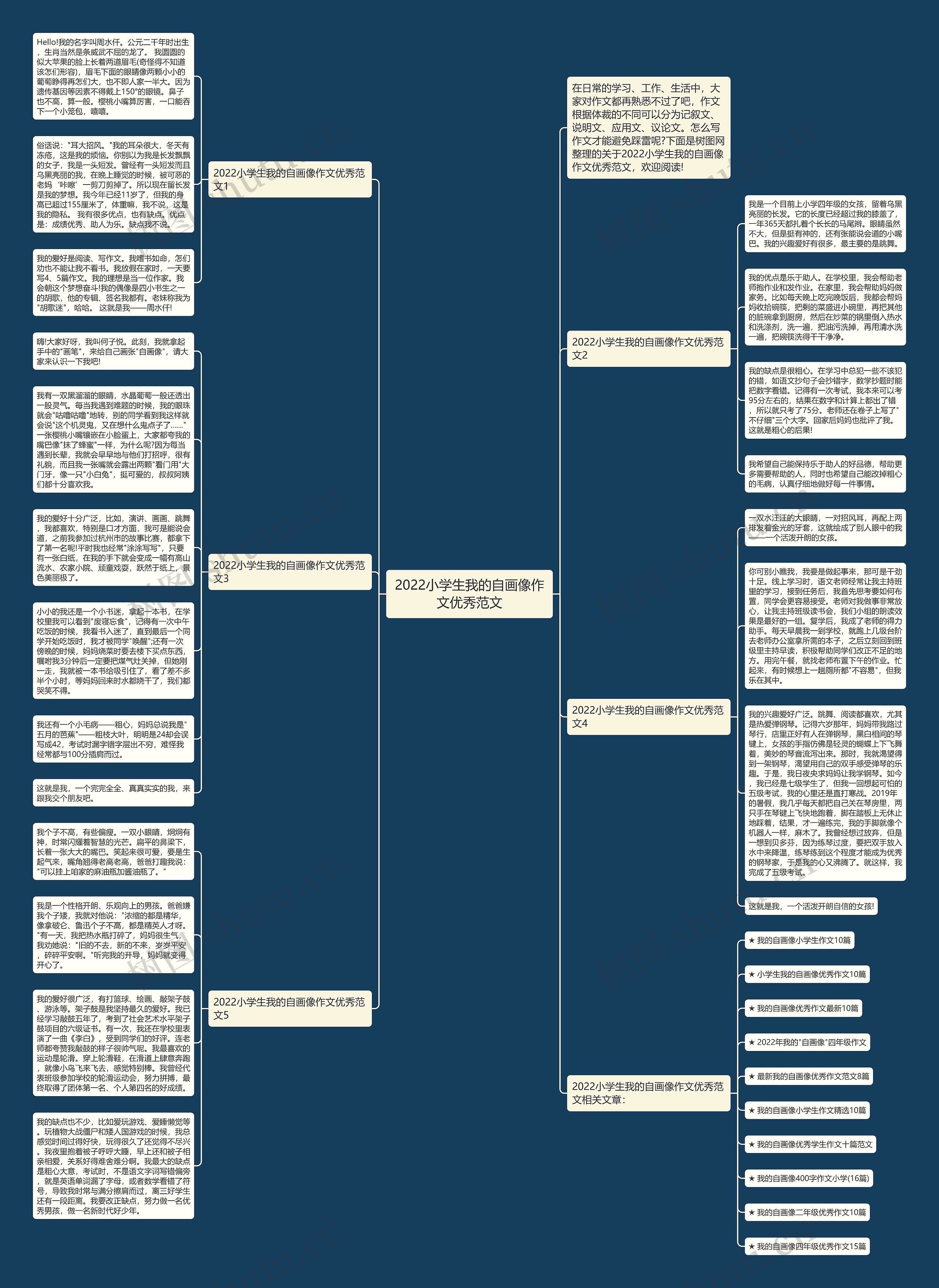 2022小学生我的自画像作文优秀范文思维导图