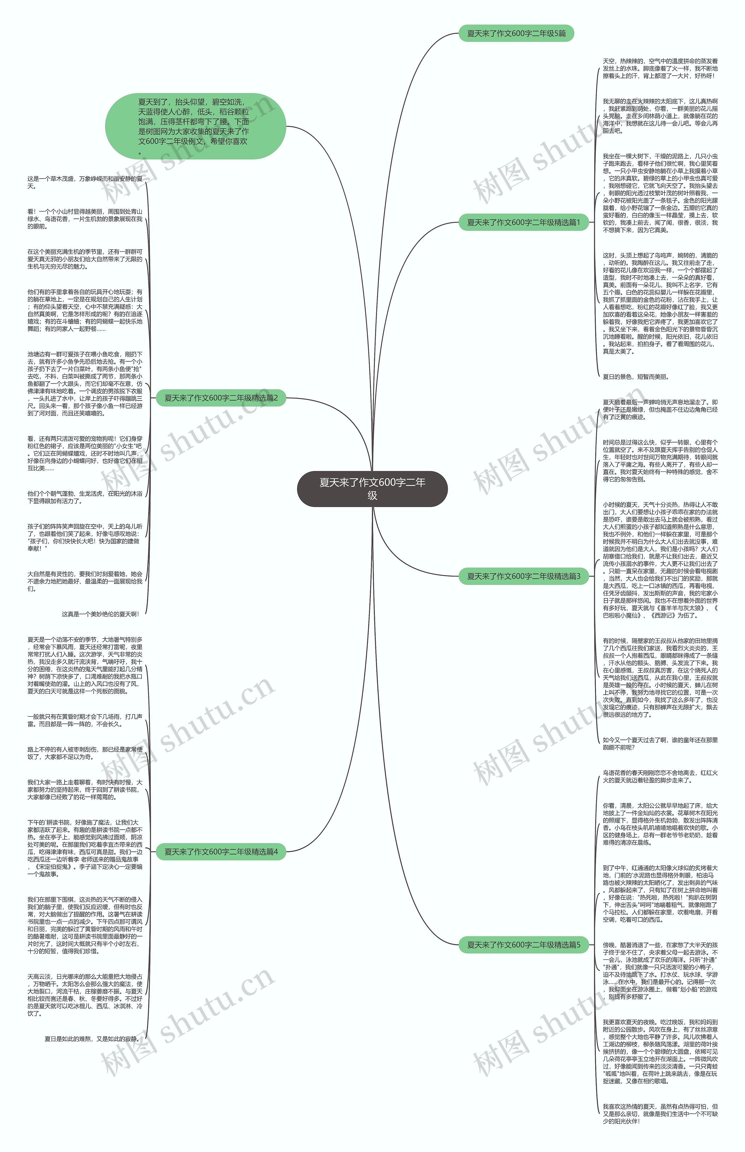 夏天来了作文600字二年级思维导图