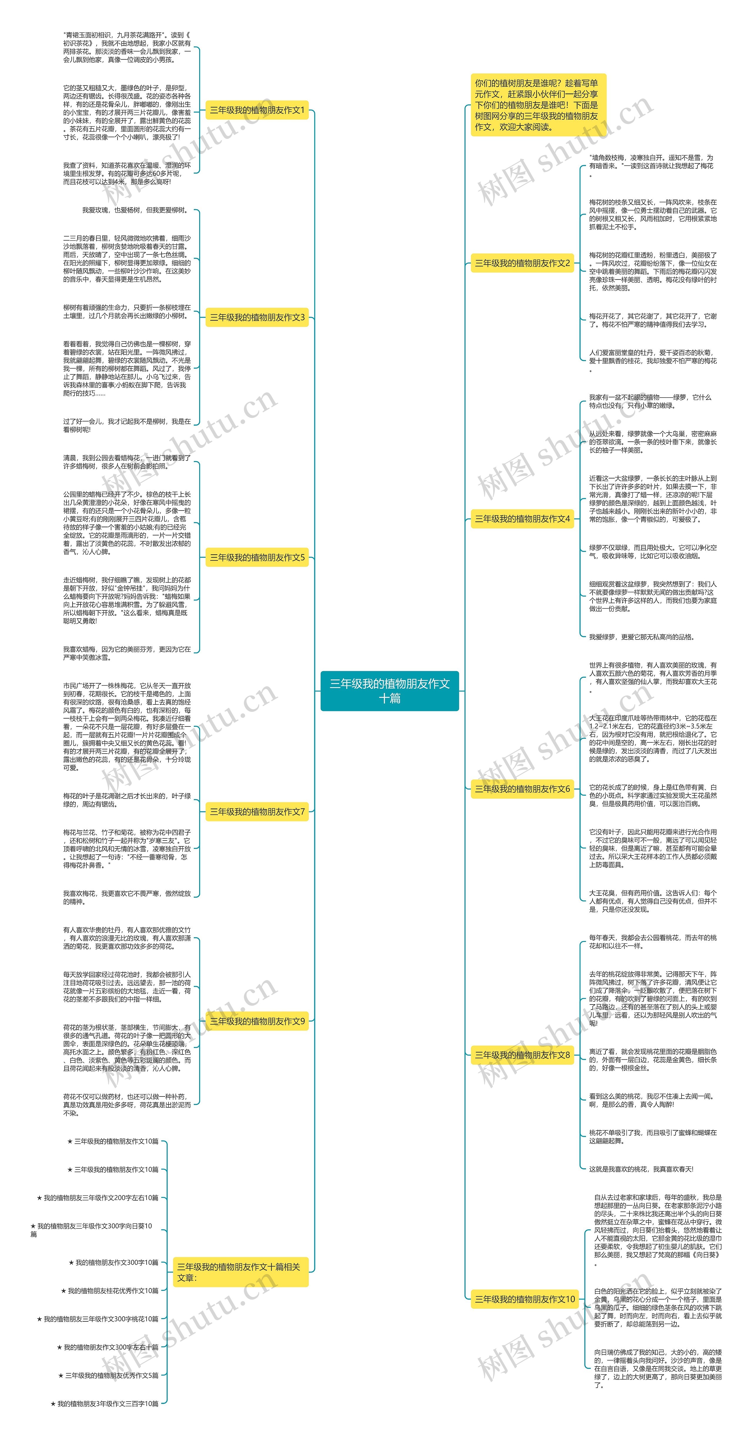 三年级我的植物朋友作文十篇思维导图