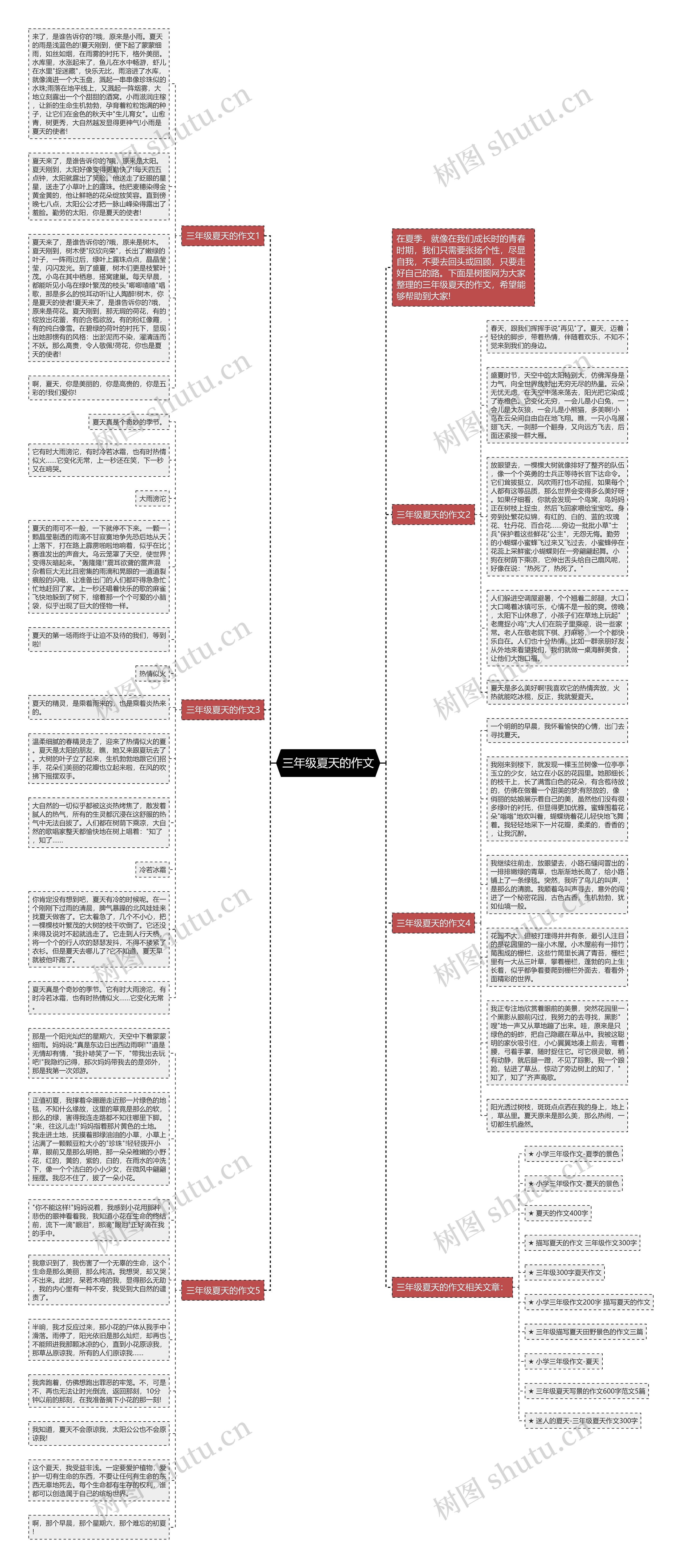 三年级夏天的作文思维导图