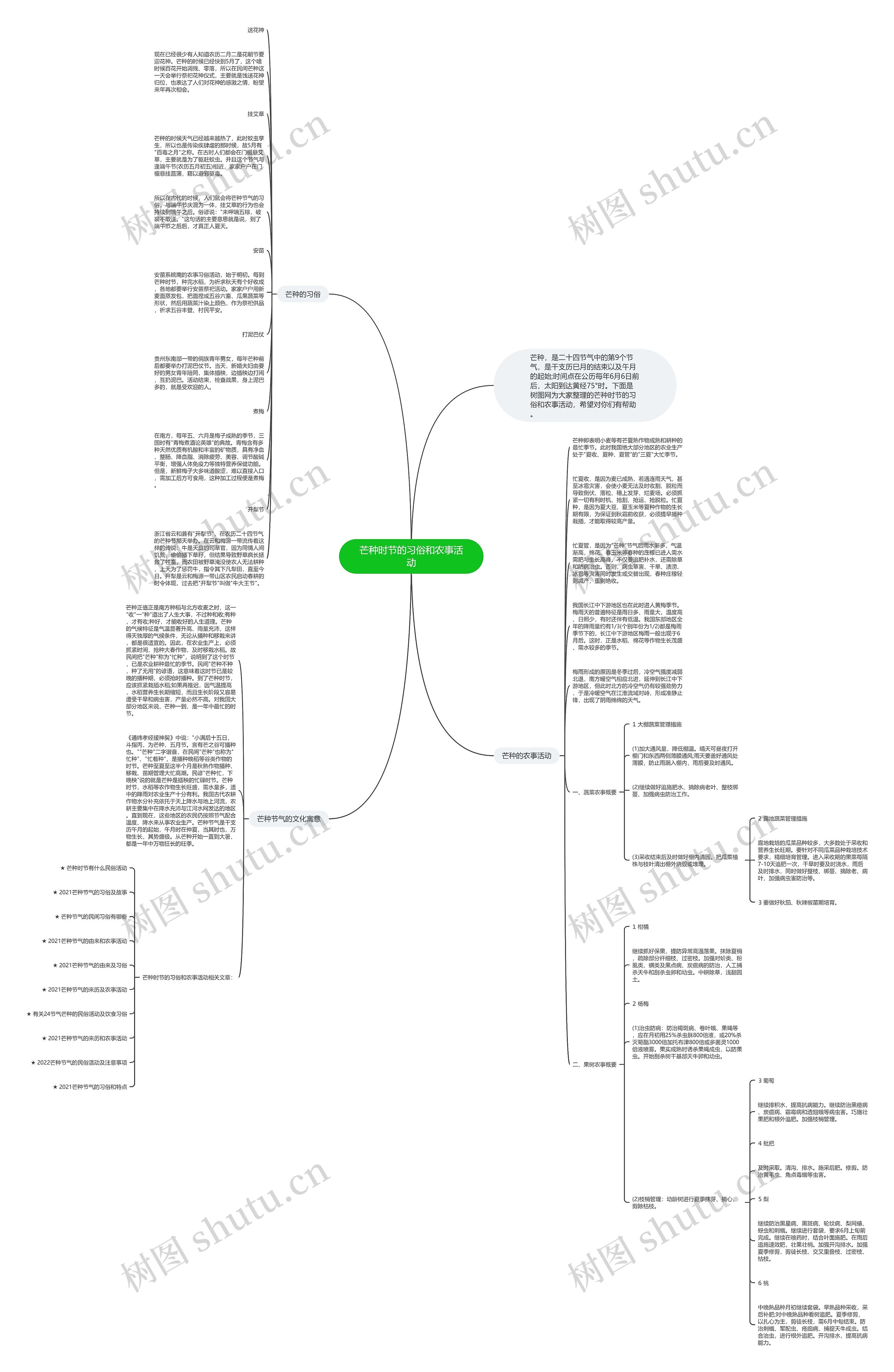 芒种时节的习俗和农事活动思维导图