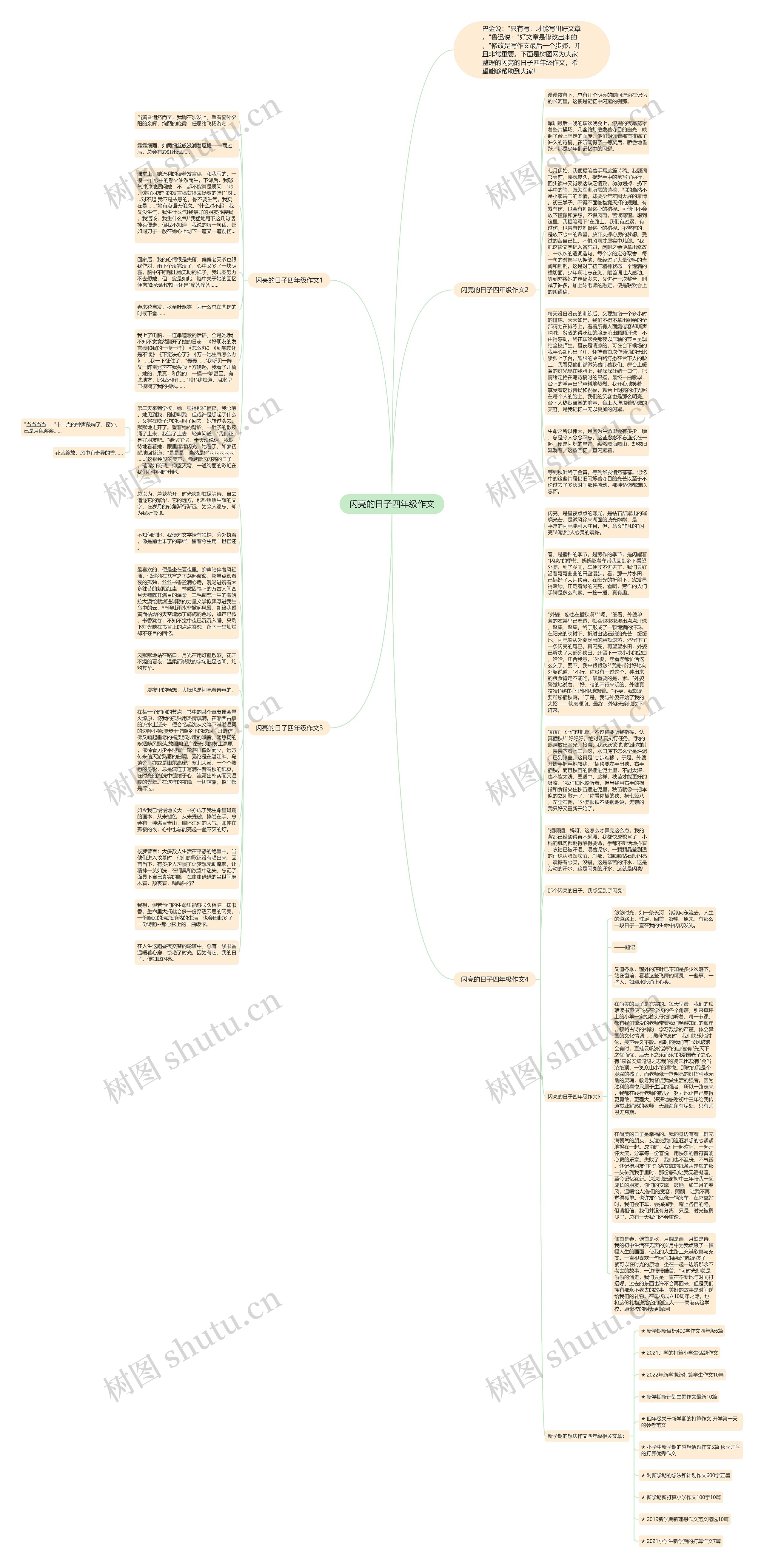 闪亮的日子四年级作文思维导图