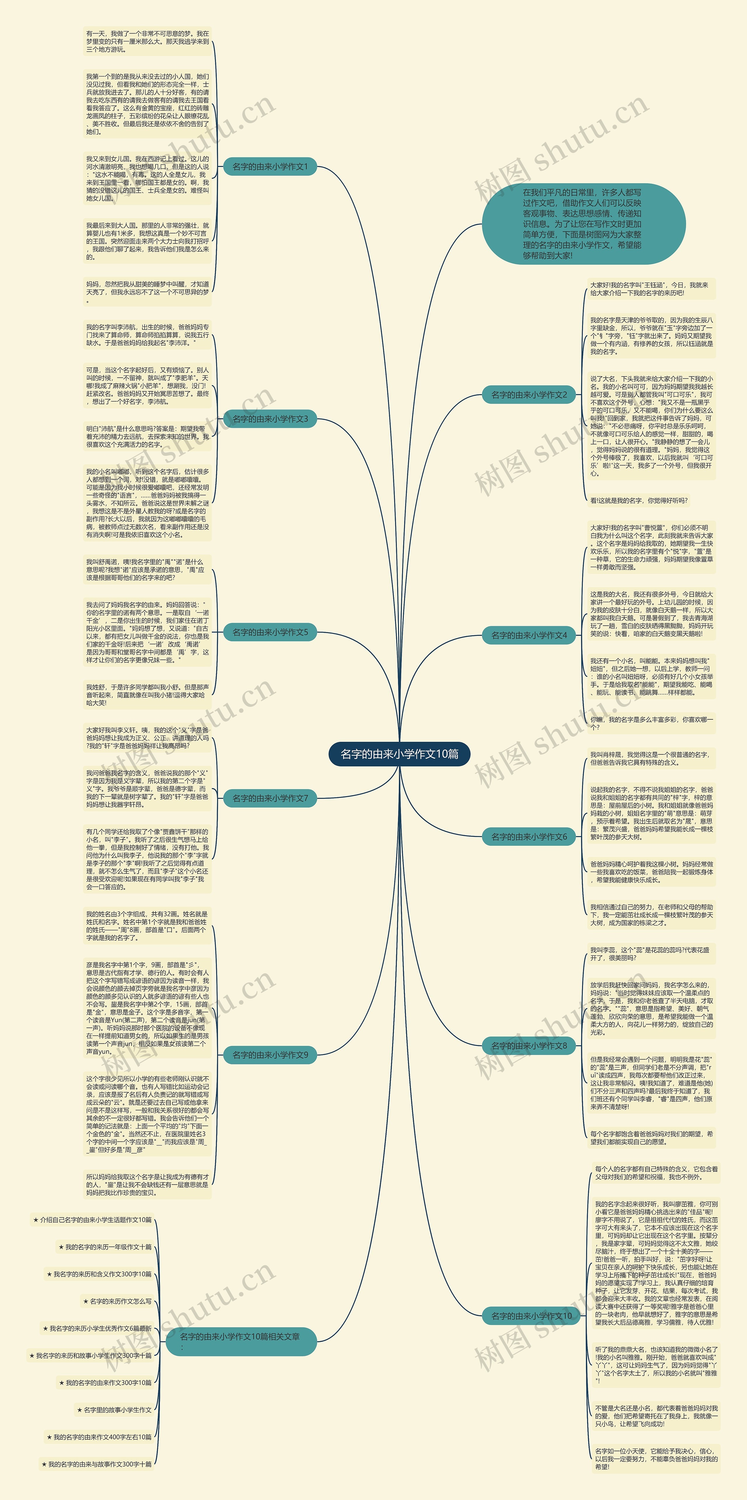 名字的由来小学作文10篇思维导图