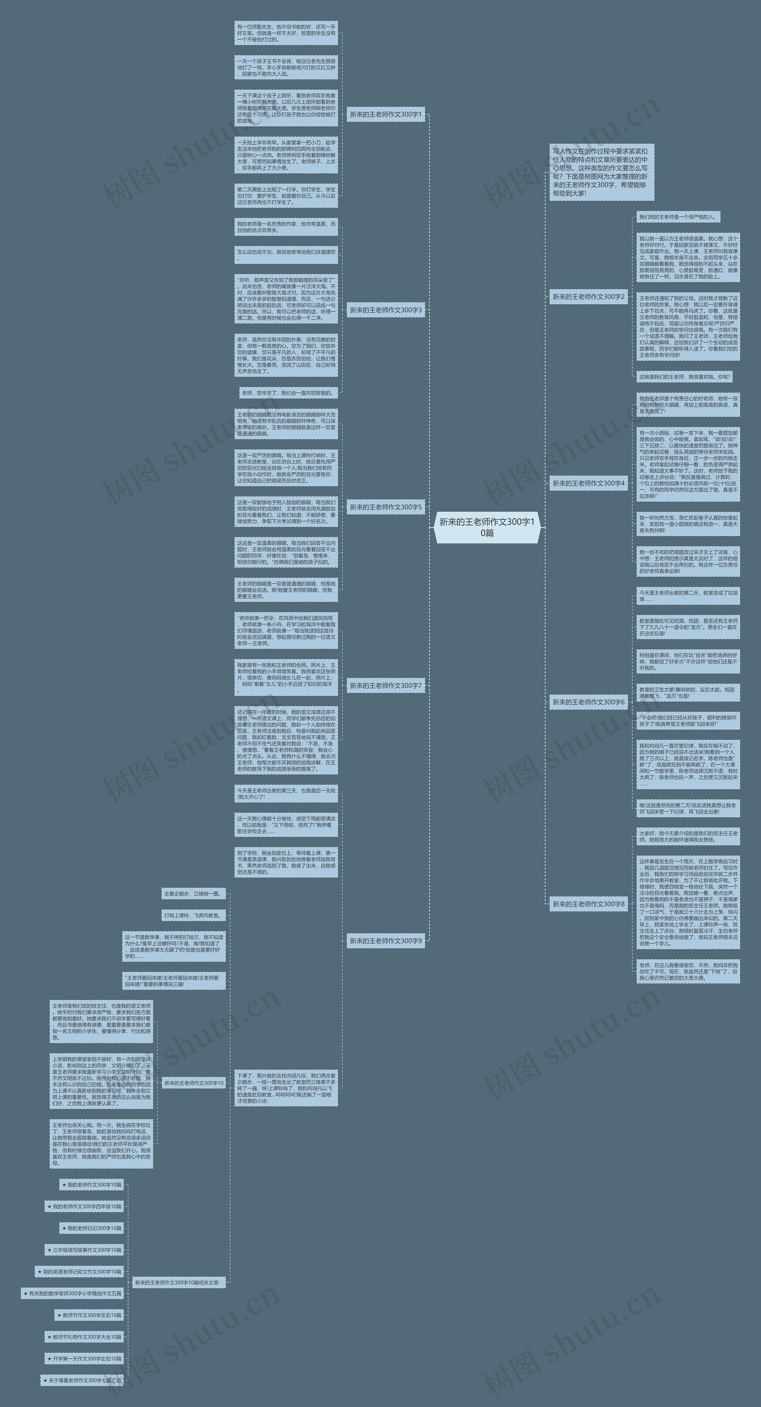 新来的王老师作文300字10篇