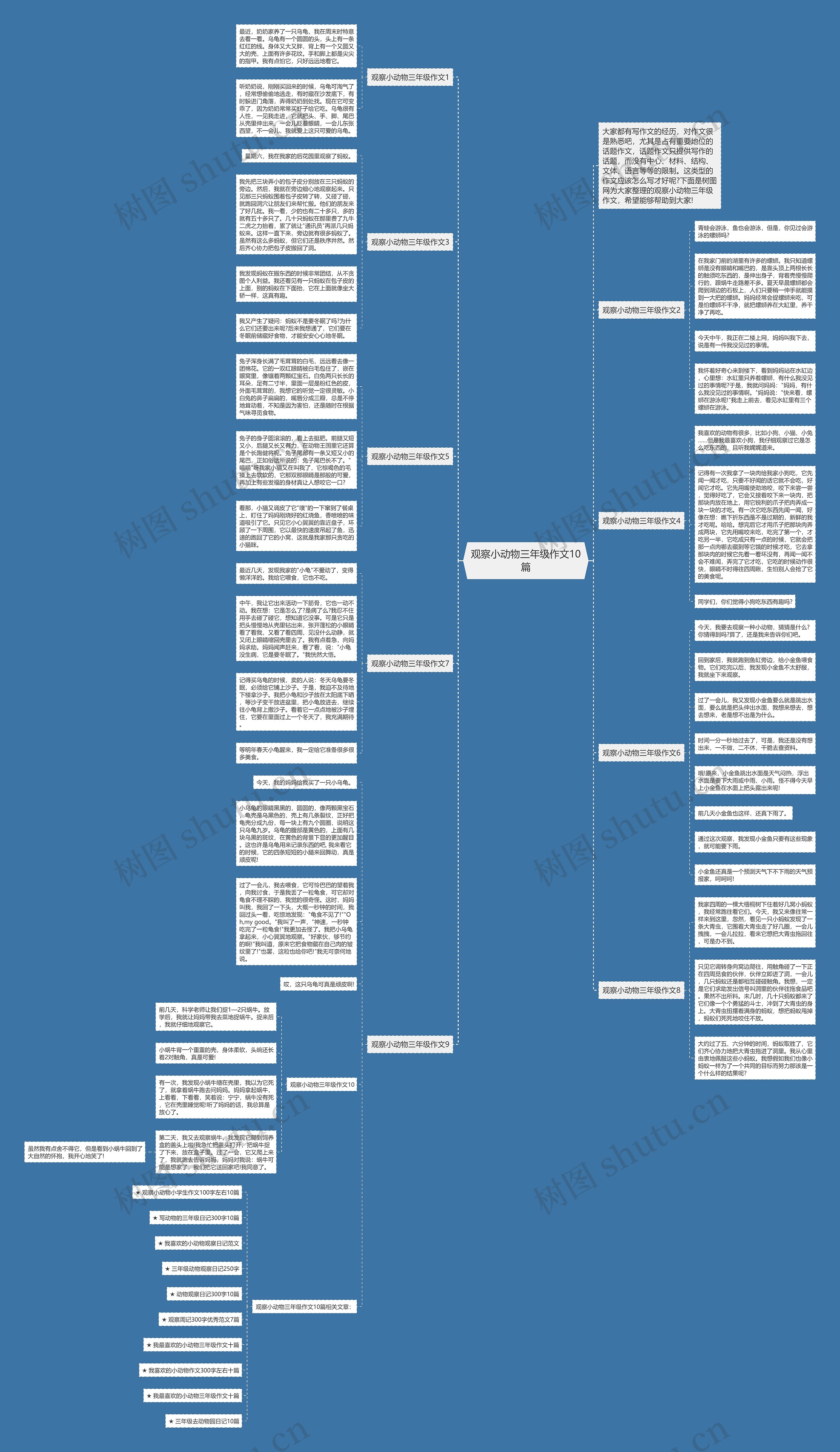 观察小动物三年级作文10篇思维导图