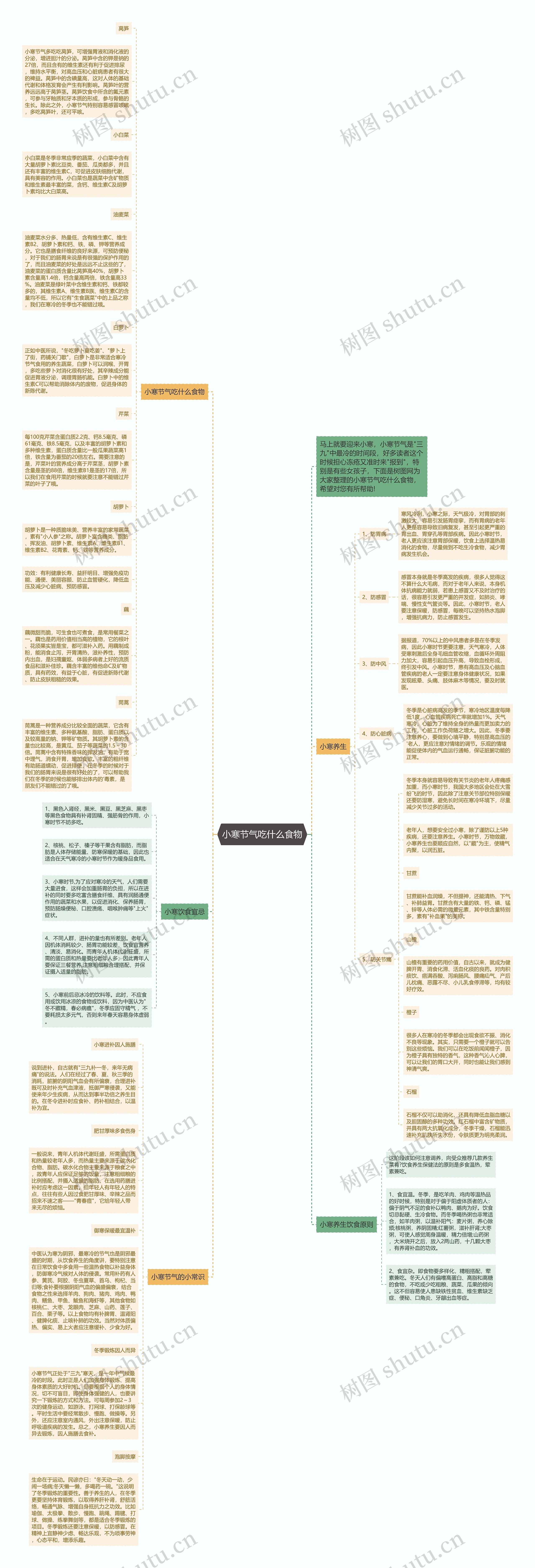 小寒节气吃什么食物思维导图