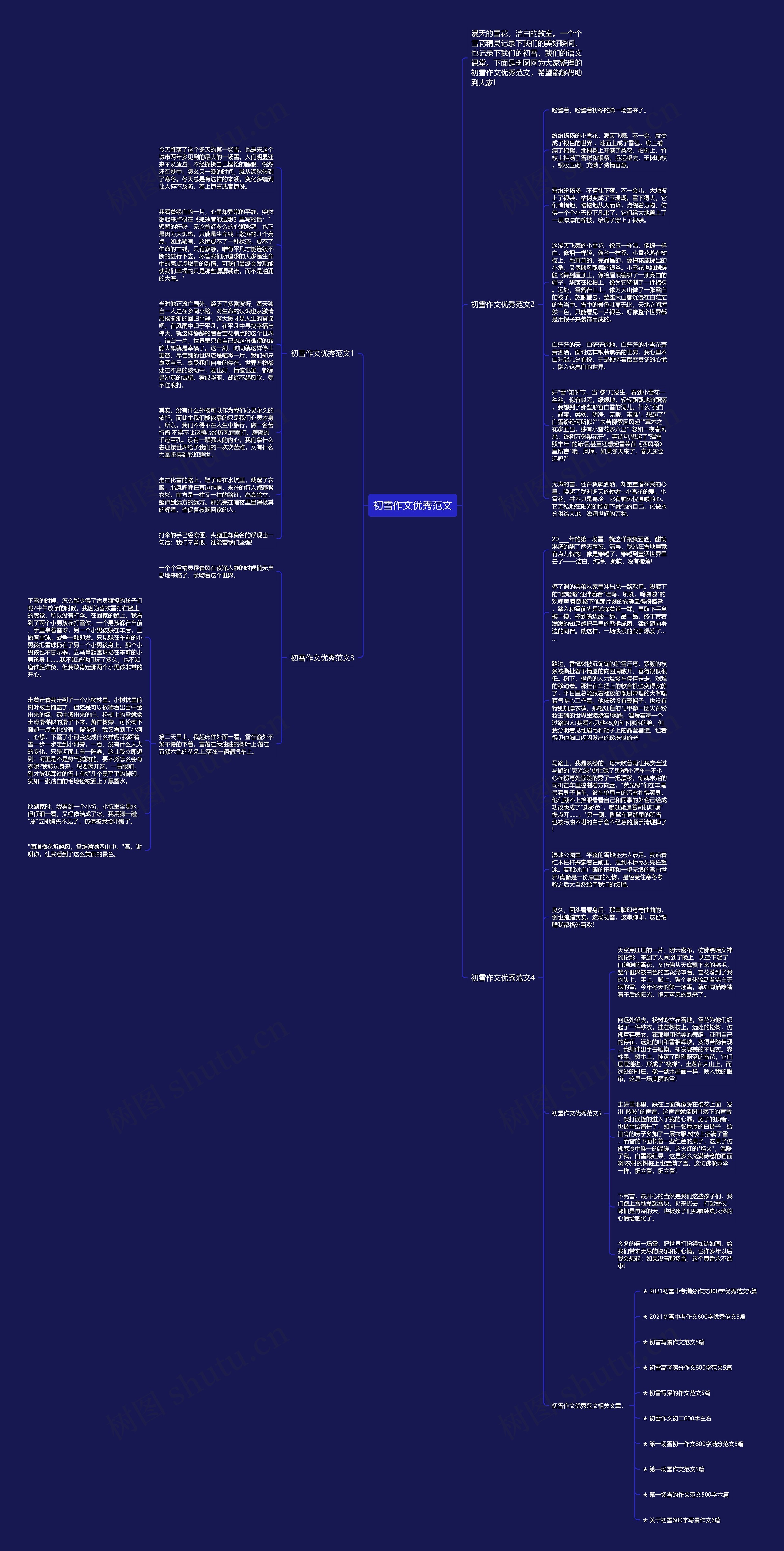初雪作文优秀范文思维导图