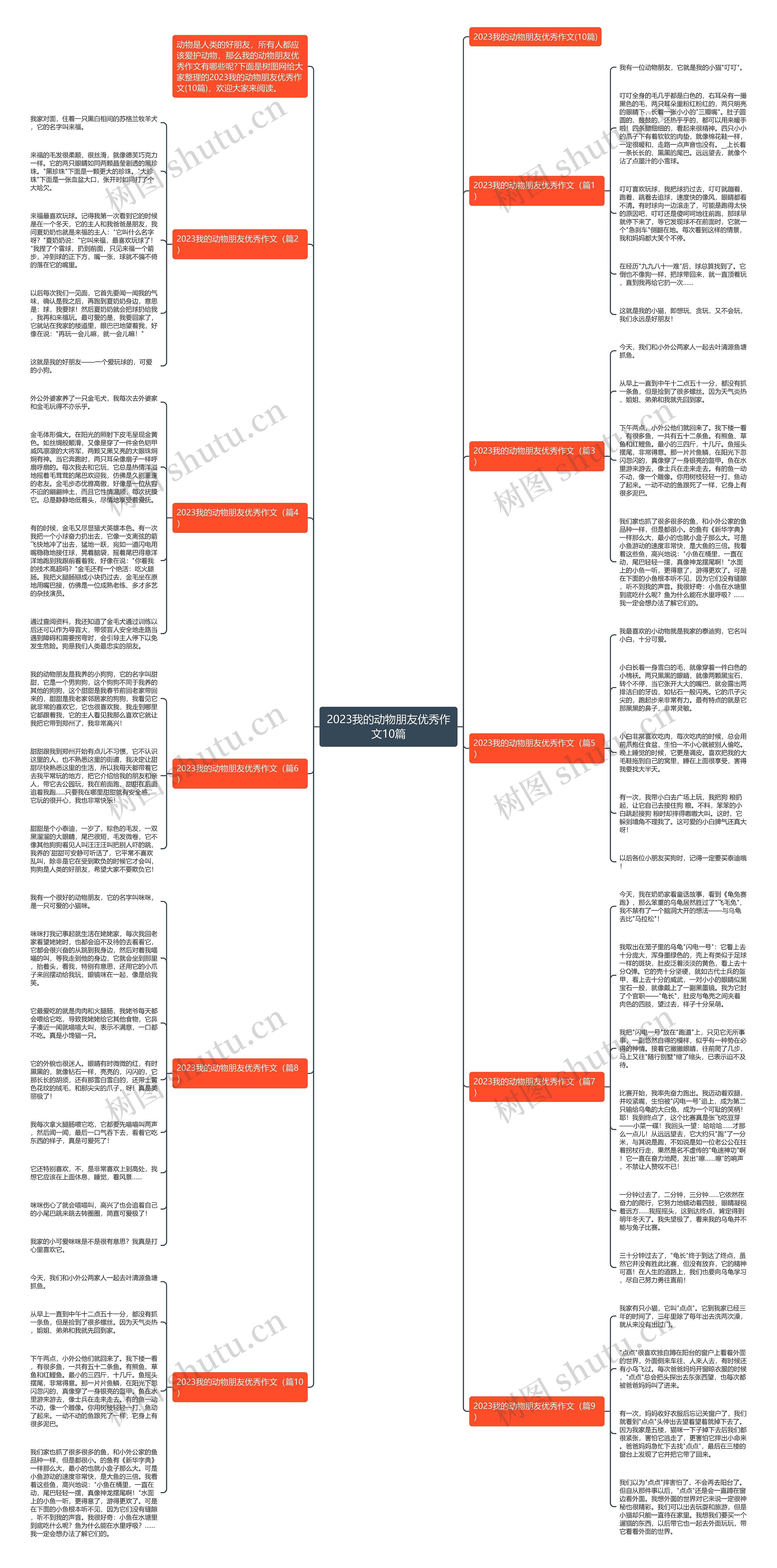 2023我的动物朋友优秀作文10篇思维导图