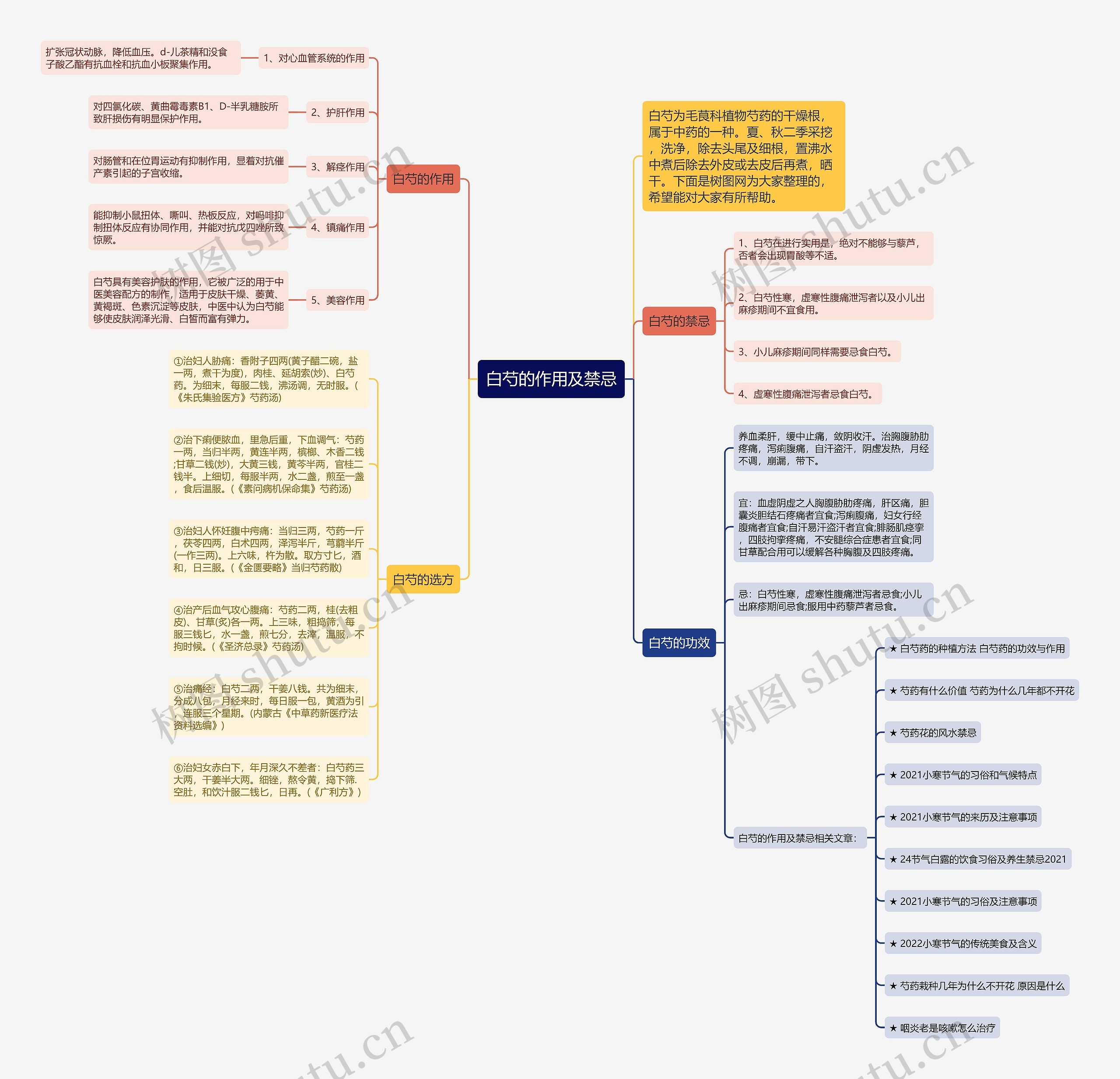 白芍的作用及禁忌思维导图