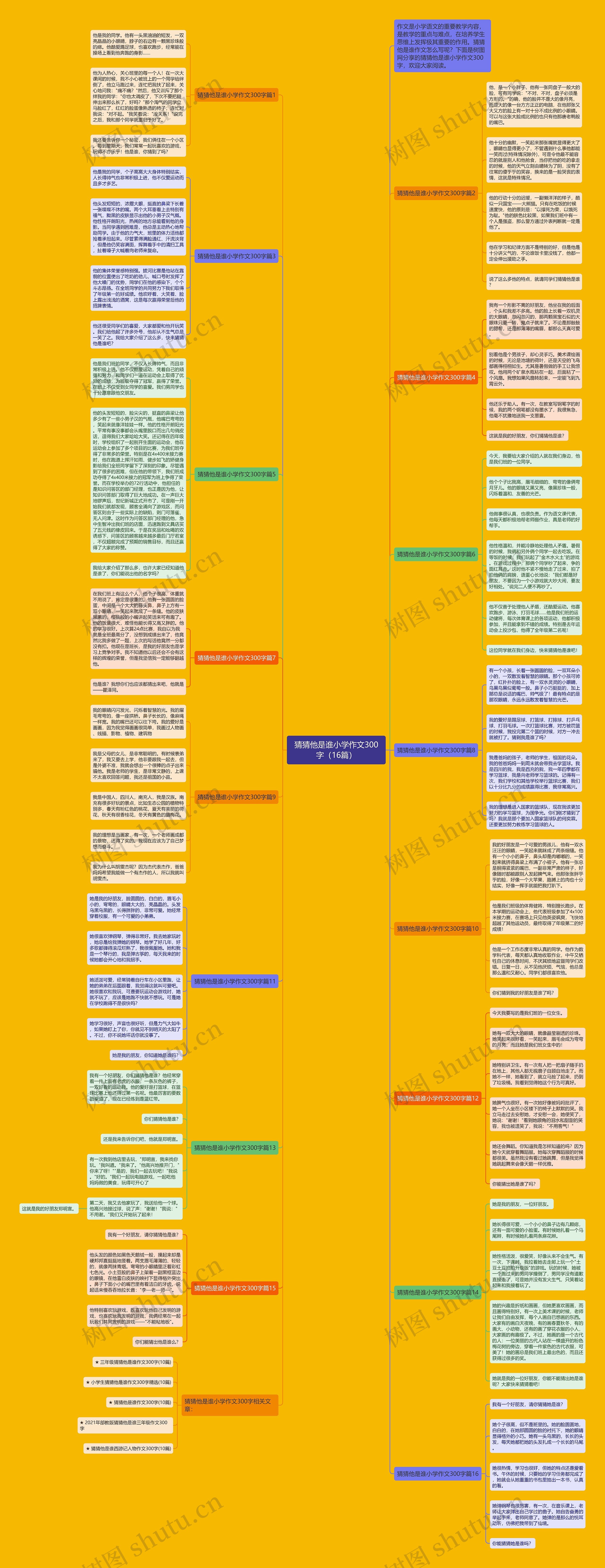 猜猜他是谁小学作文300字（16篇）思维导图