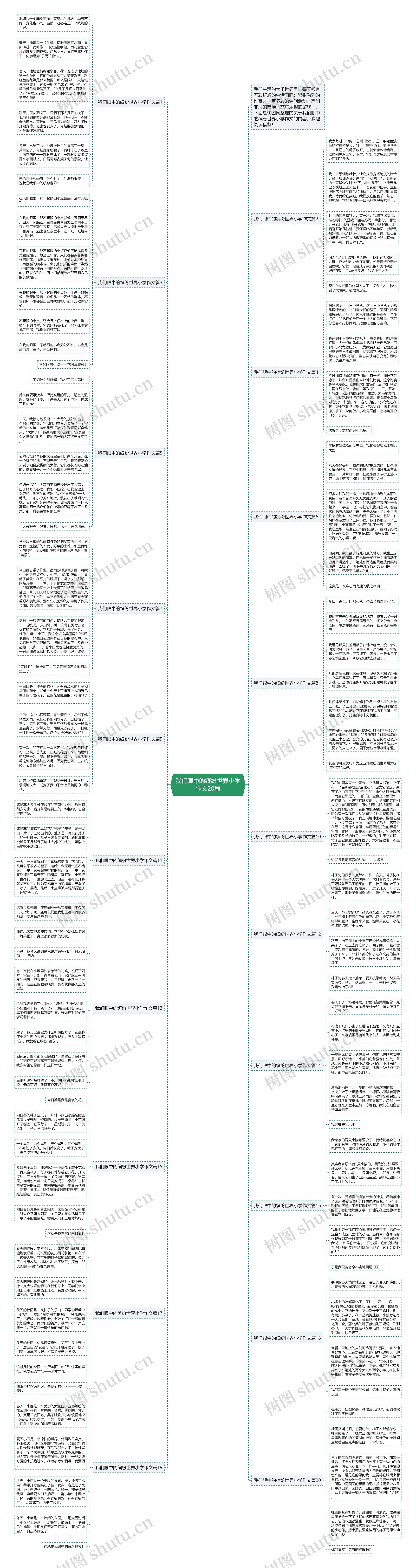 我们眼中的缤纷世界小学作文20篇思维导图