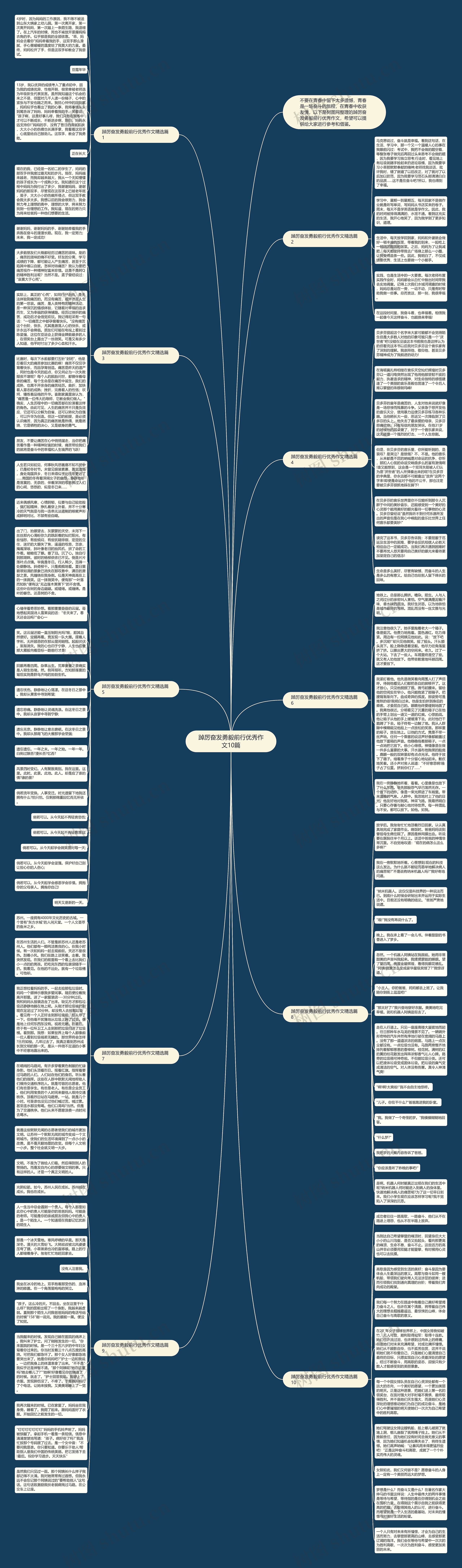踔厉奋发勇毅前行优秀作文10篇思维导图