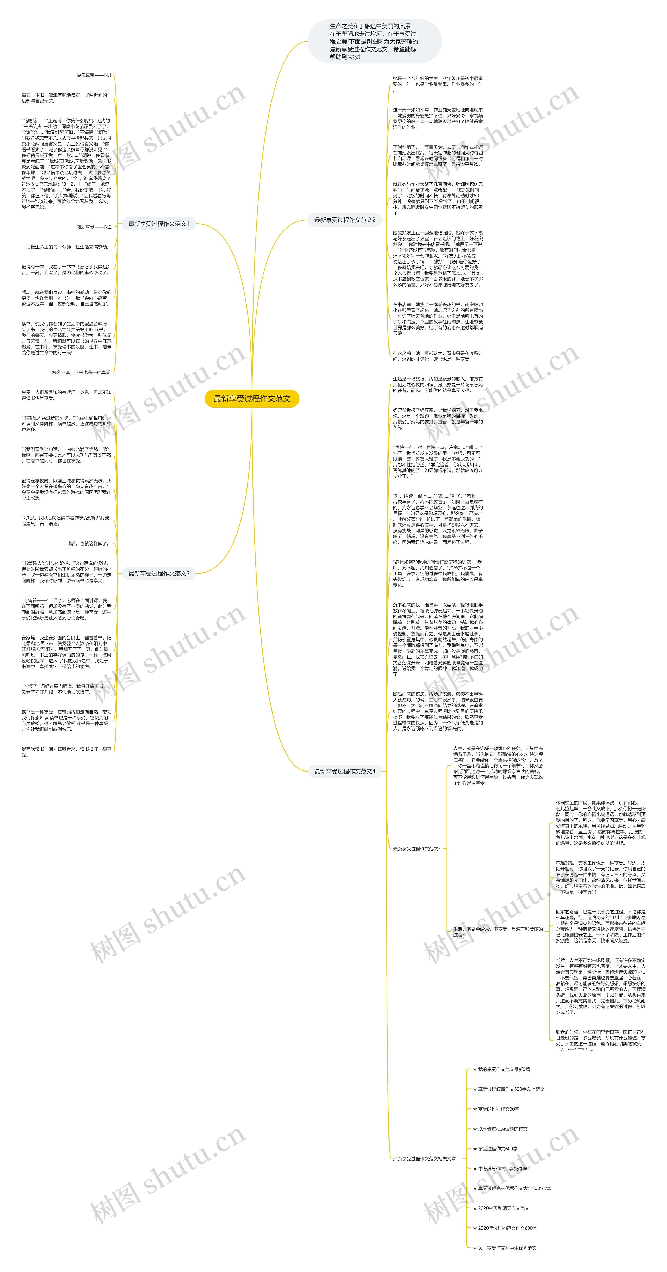 最新享受过程作文范文思维导图