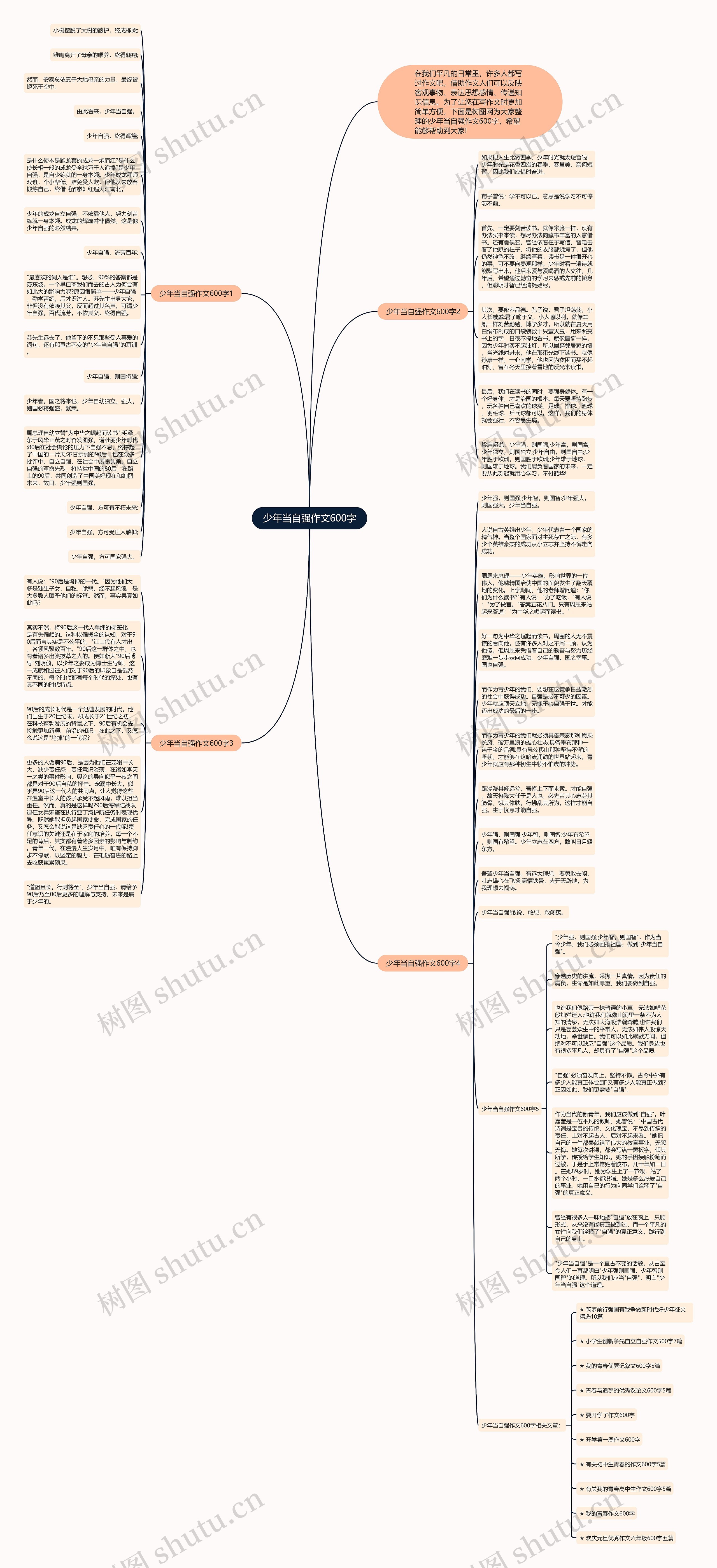 少年当自强作文600字思维导图