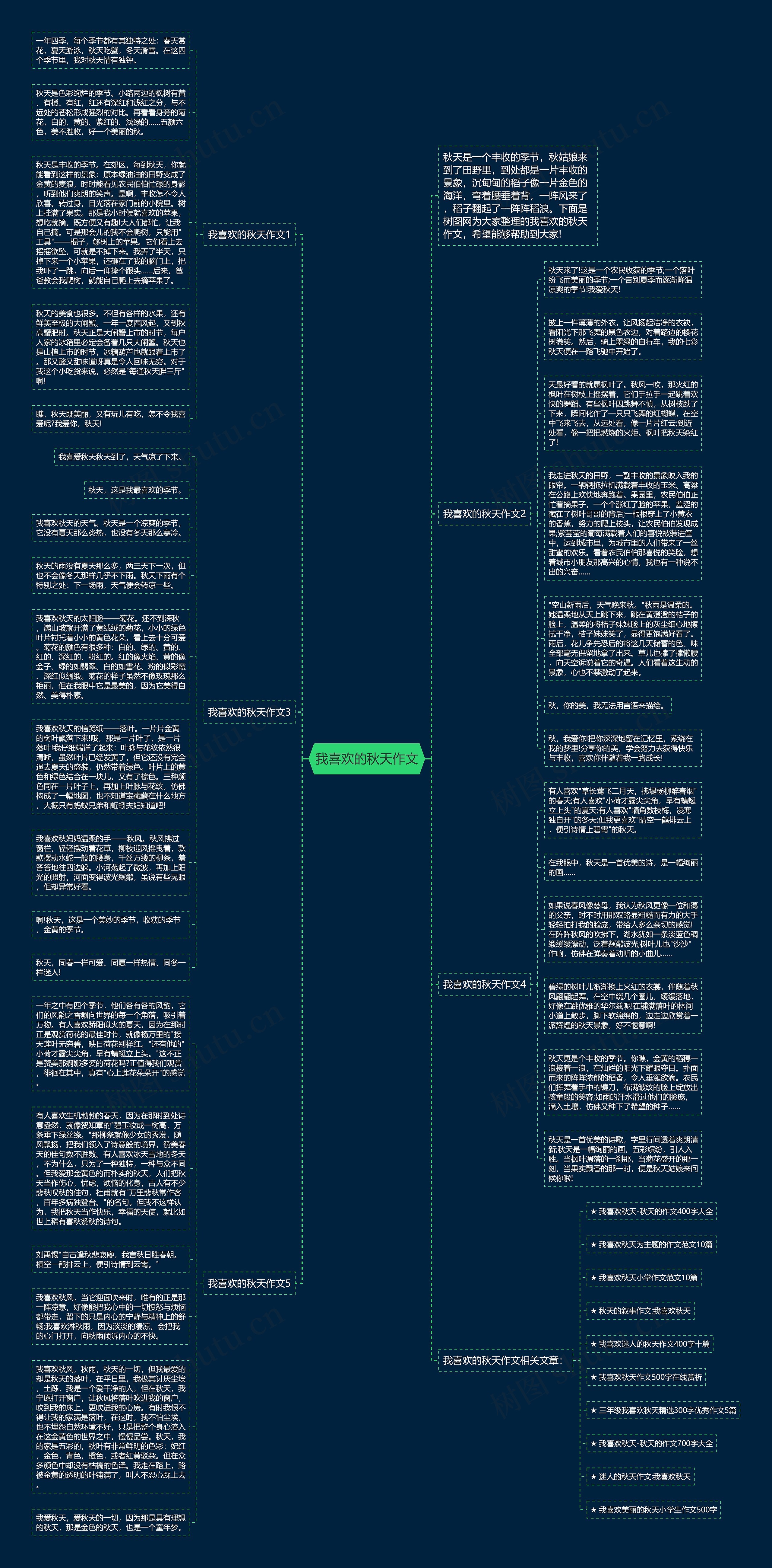 我喜欢的秋天作文思维导图