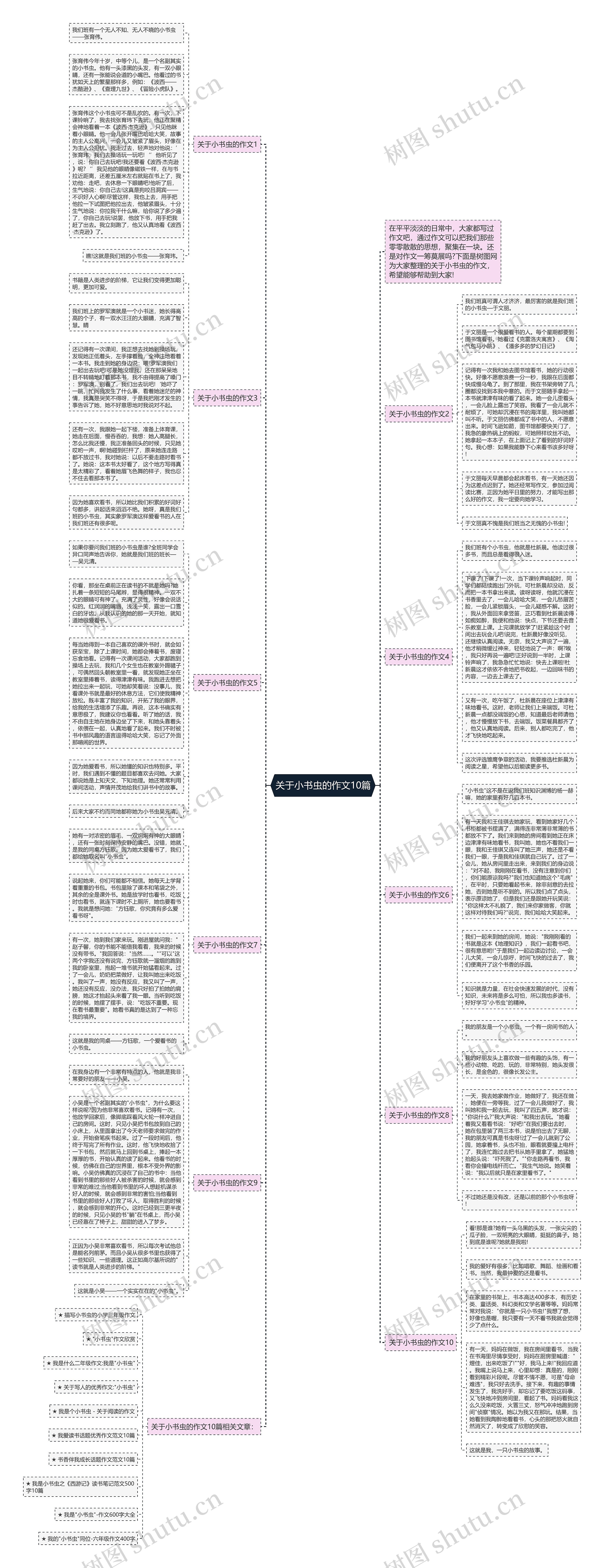 关于小书虫的作文10篇思维导图