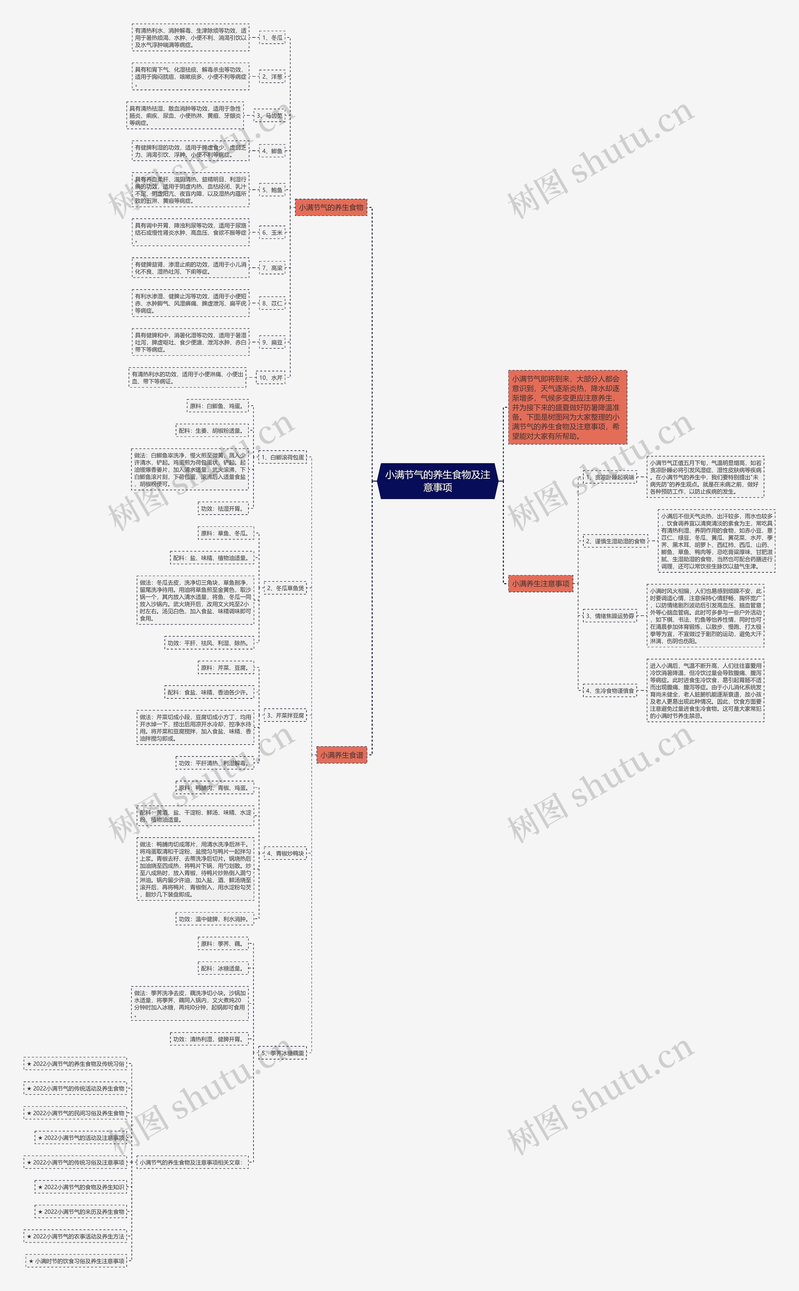 小满节气的养生食物及注意事项思维导图