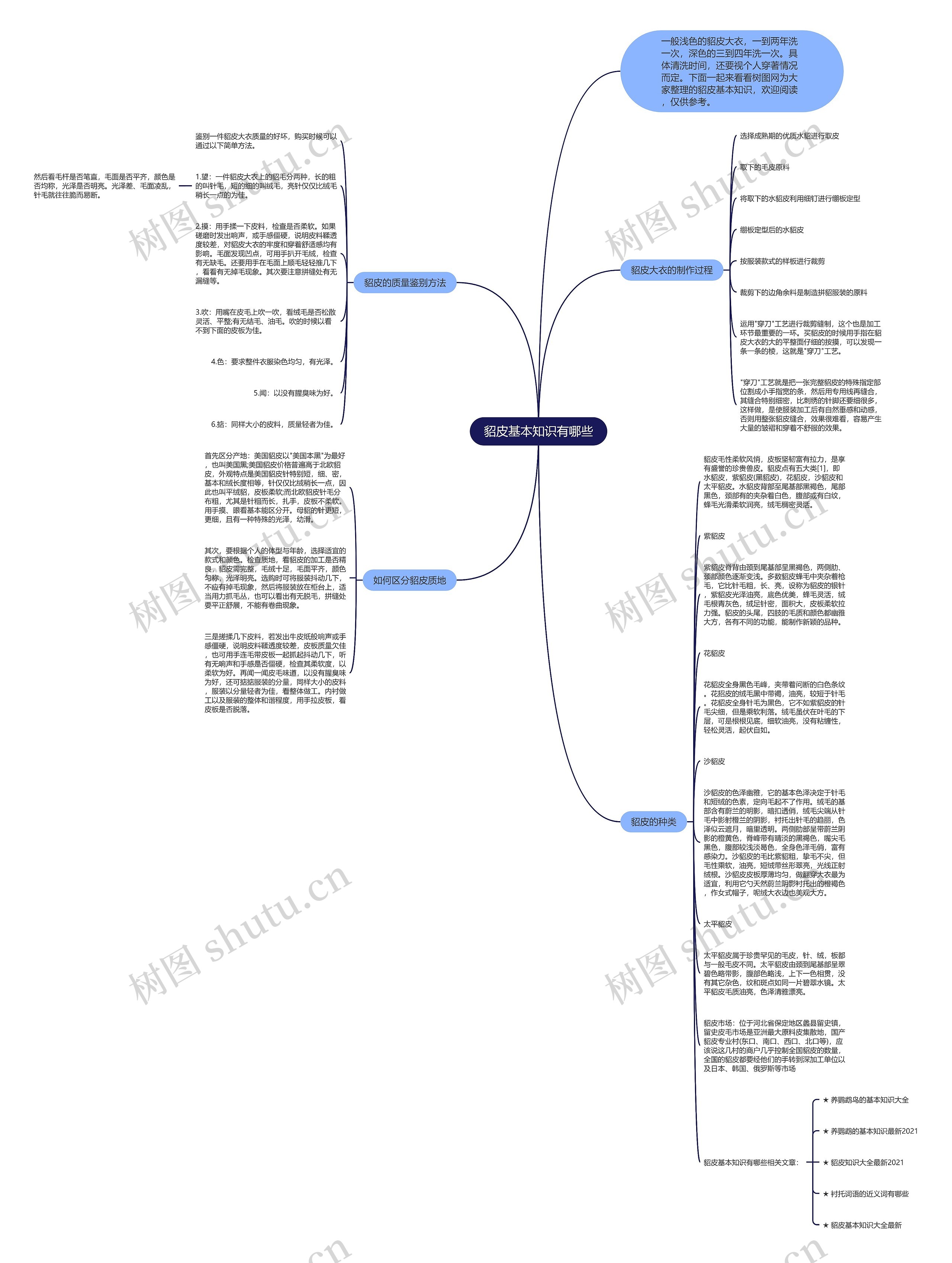 貂皮基本知识有哪些思维导图