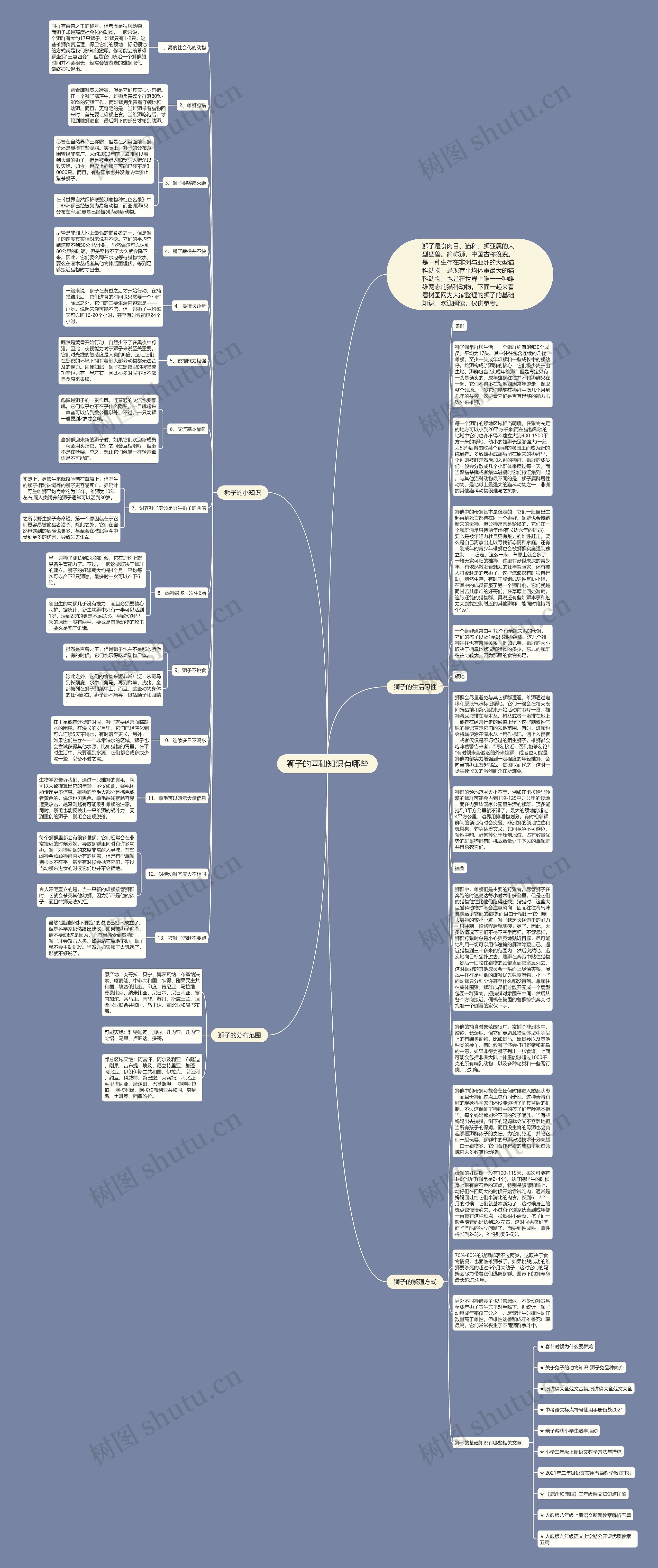 狮子的基础知识有哪些思维导图