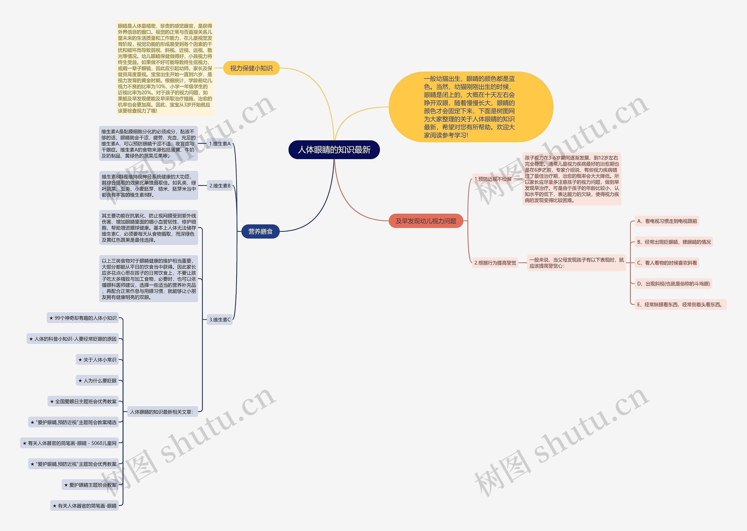 人体眼睛的知识最新思维导图