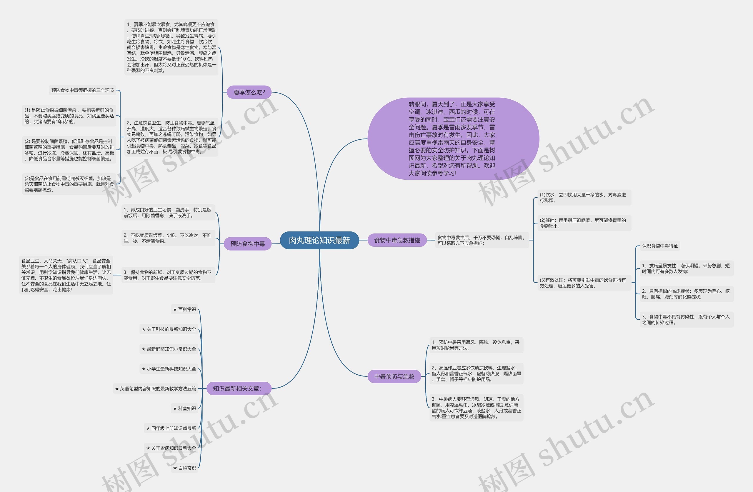 肉丸理论知识最新思维导图