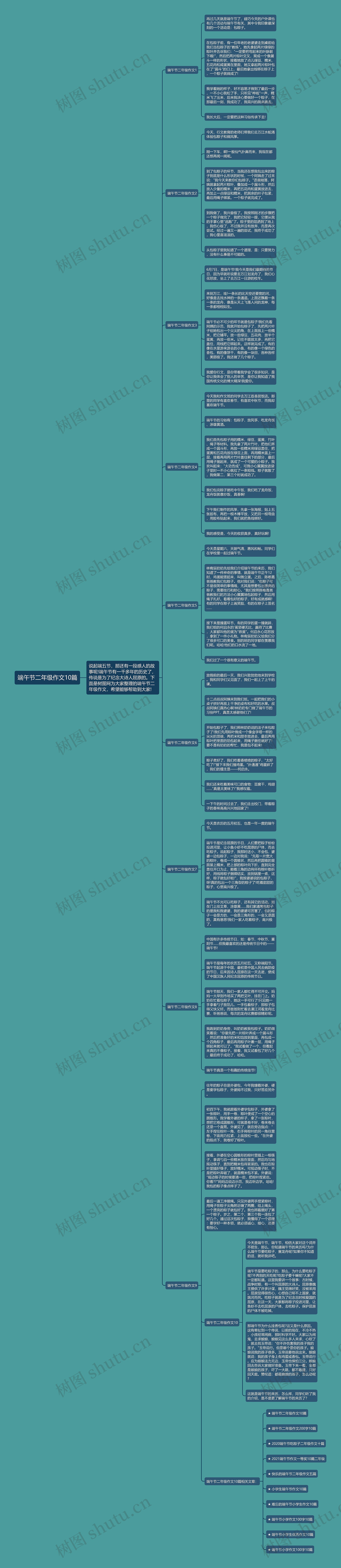 端午节二年级作文10篇思维导图