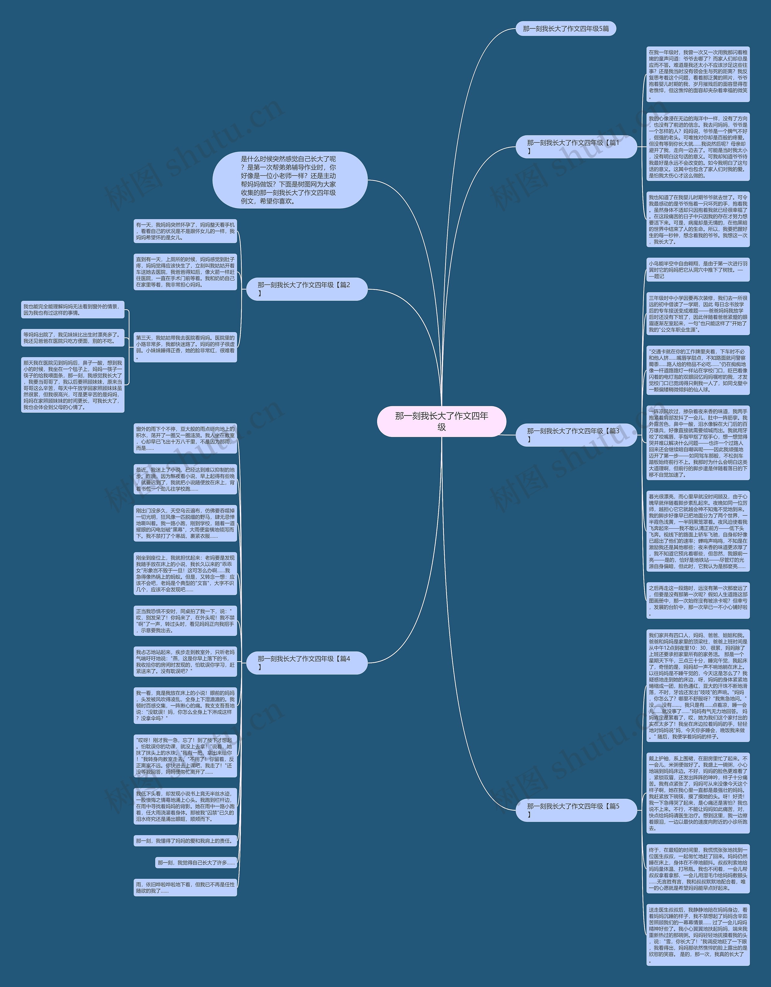 那一刻我长大了作文四年级思维导图
