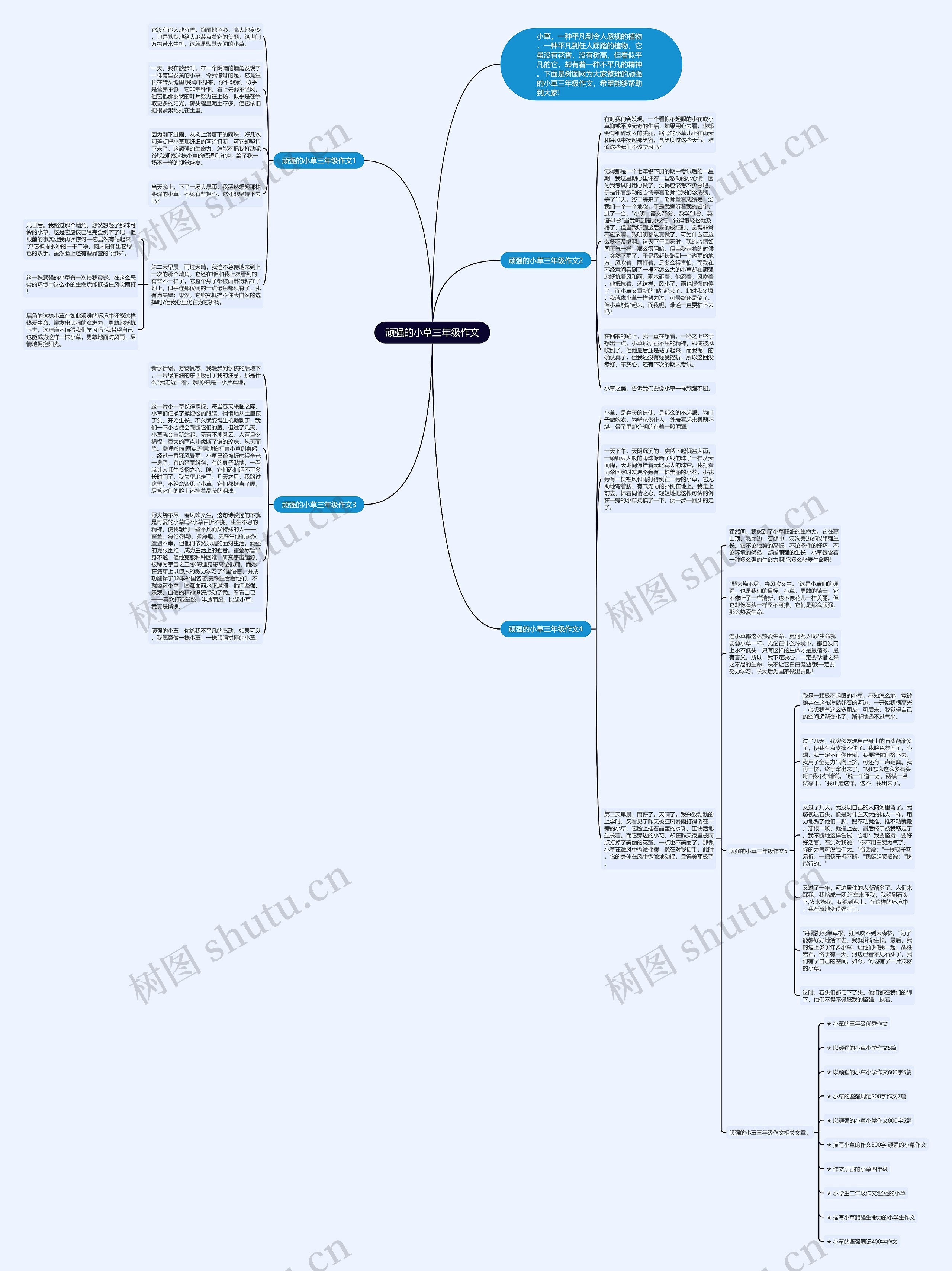 顽强的小草三年级作文思维导图