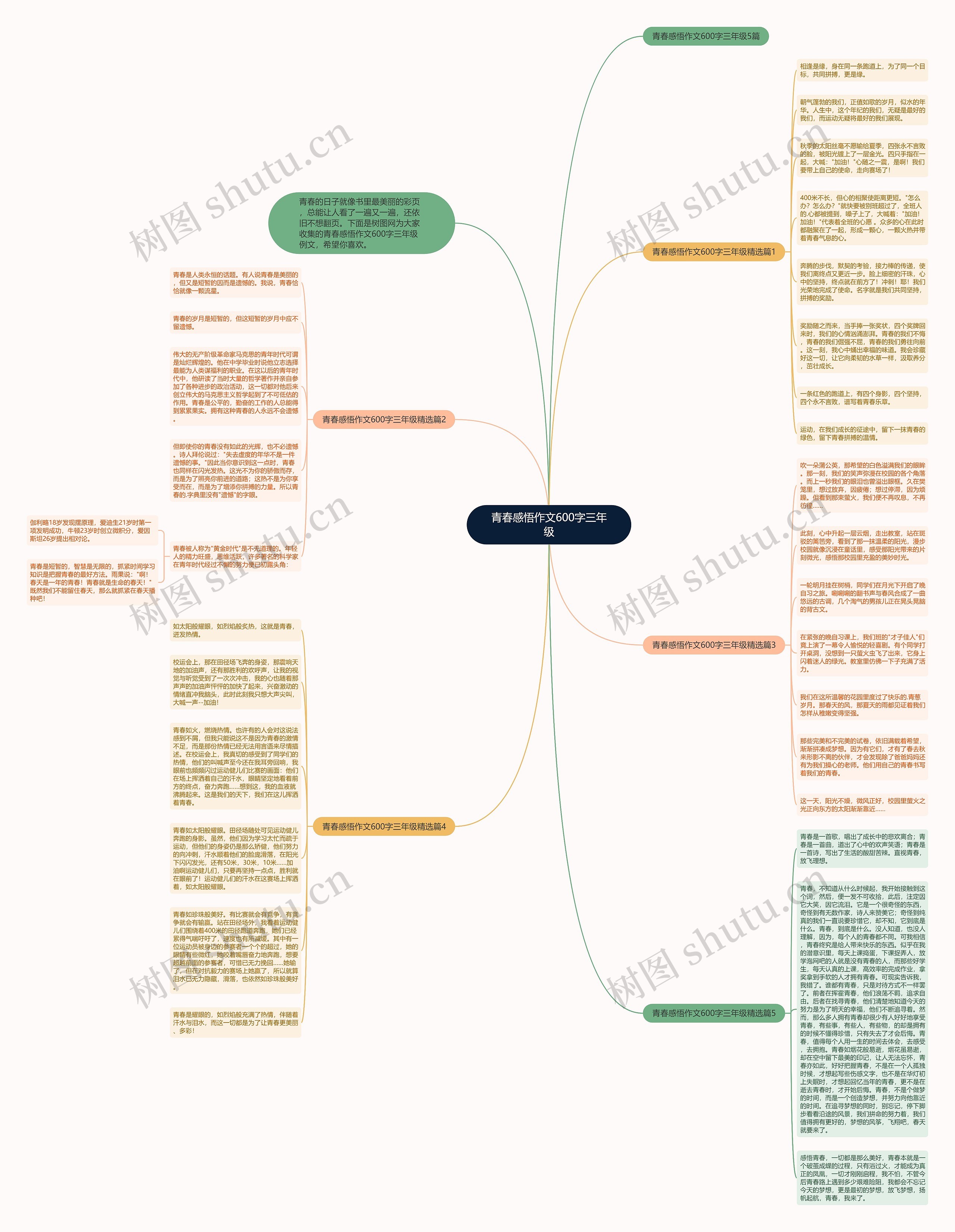 青春感悟作文600字三年级思维导图