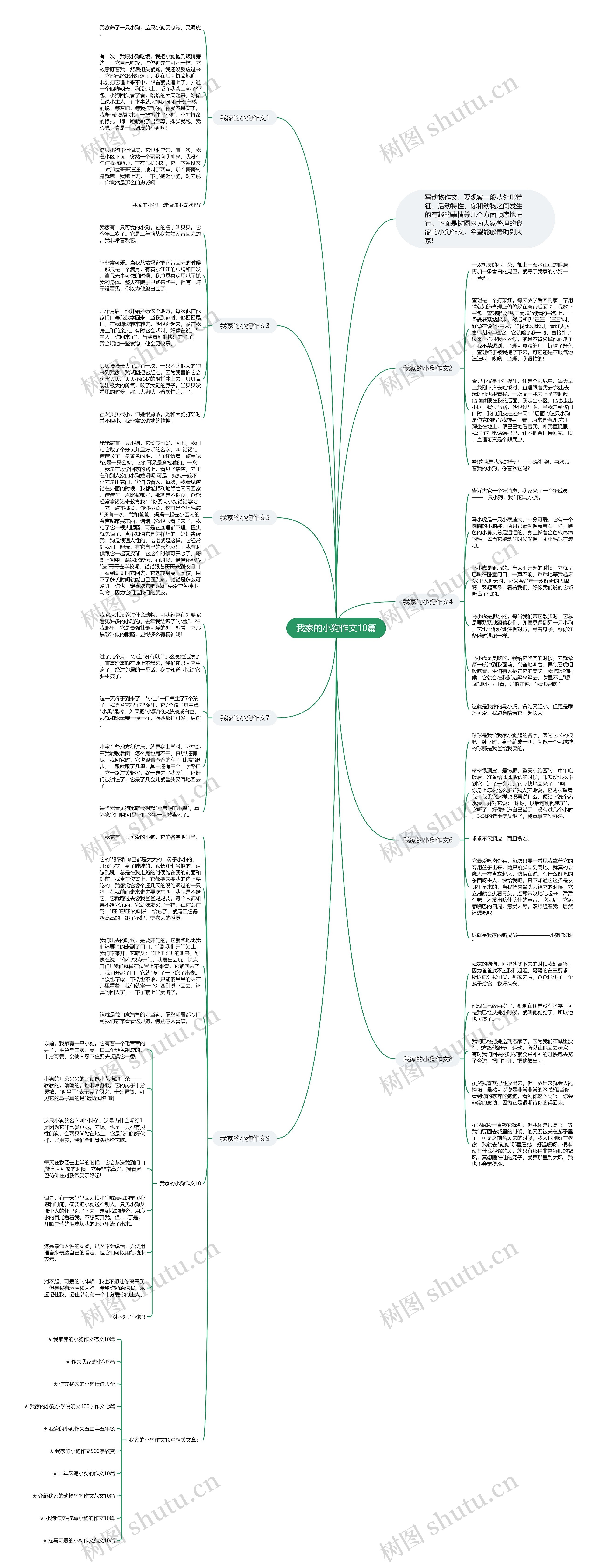 我家的小狗作文10篇思维导图