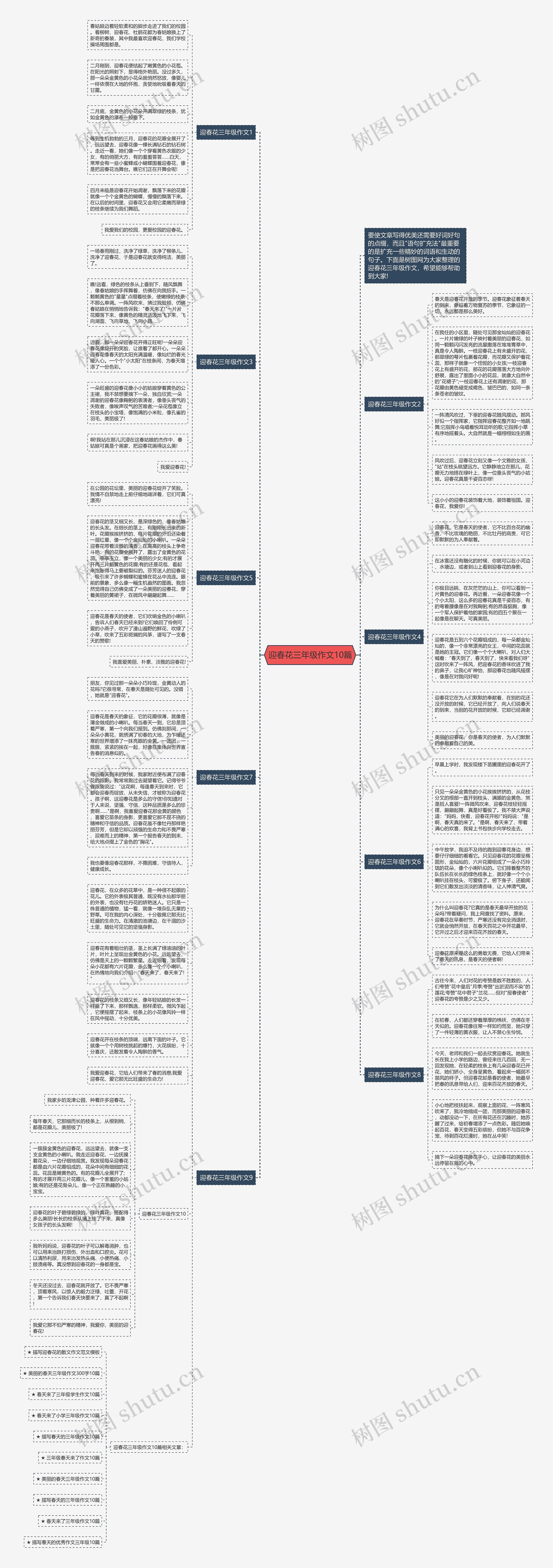 迎春花三年级作文10篇思维导图