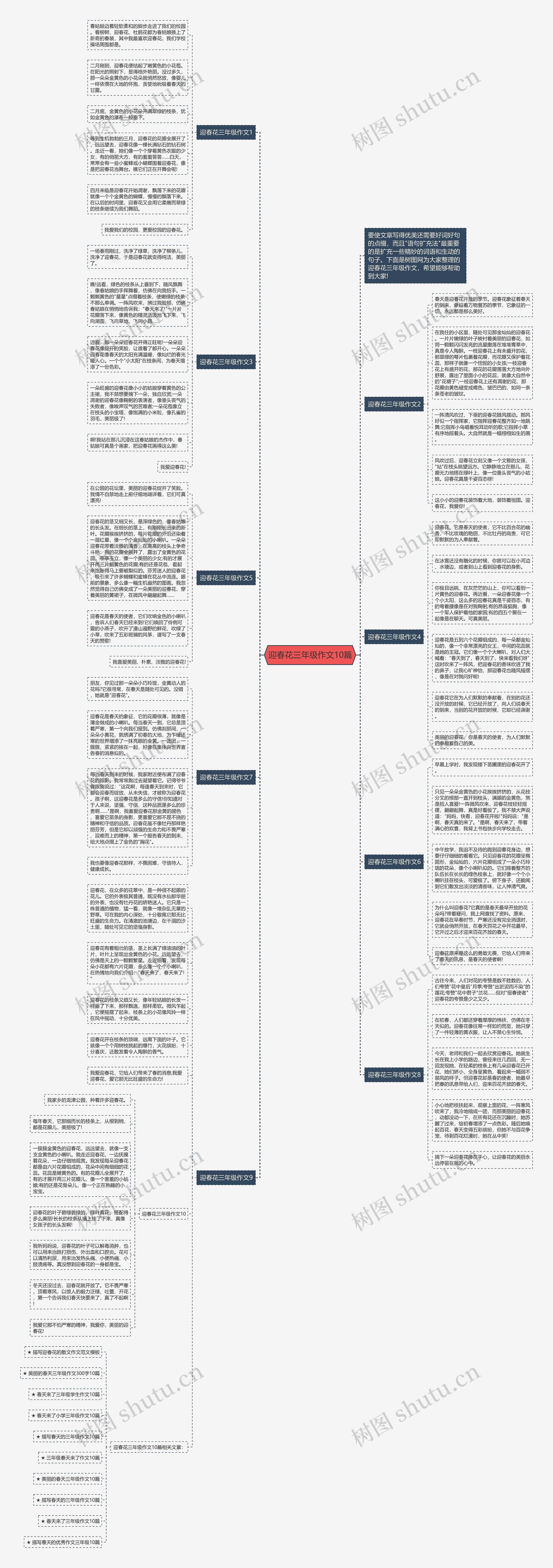 迎春花三年级作文10篇思维导图高清图 迎春花三年级作文10篇思维导图