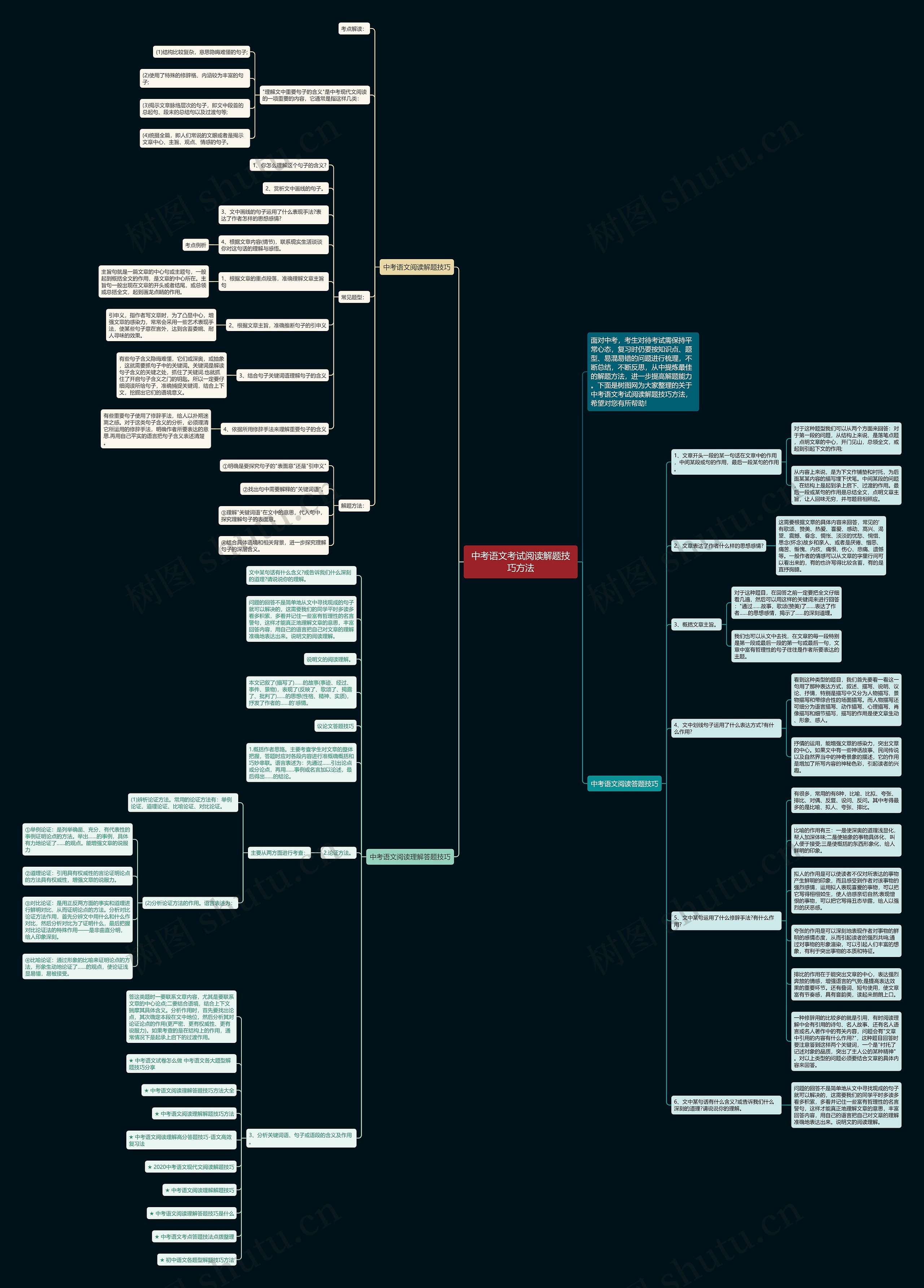 中考语文考试阅读解题技巧方法思维导图