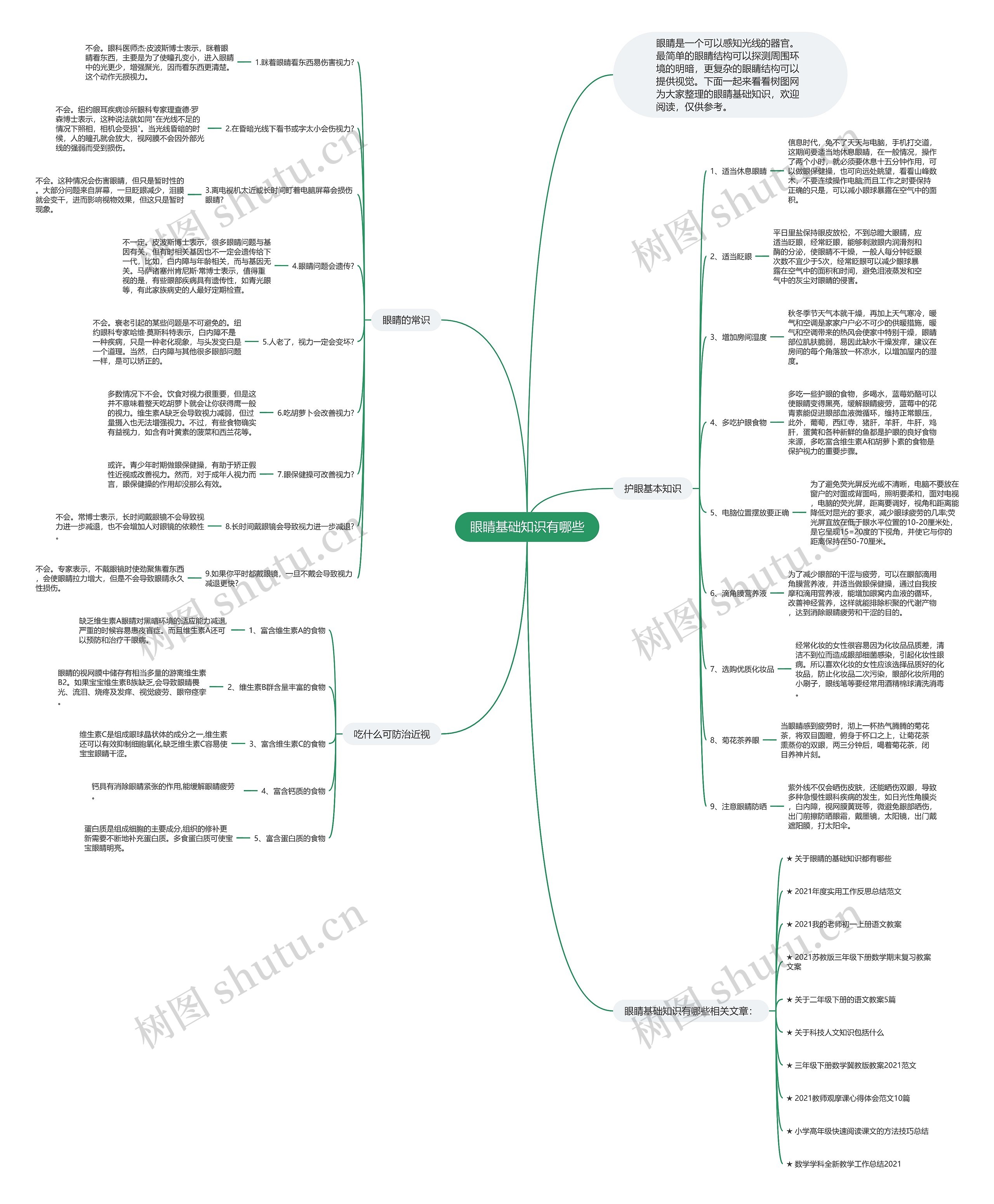 眼睛基础知识有哪些思维导图