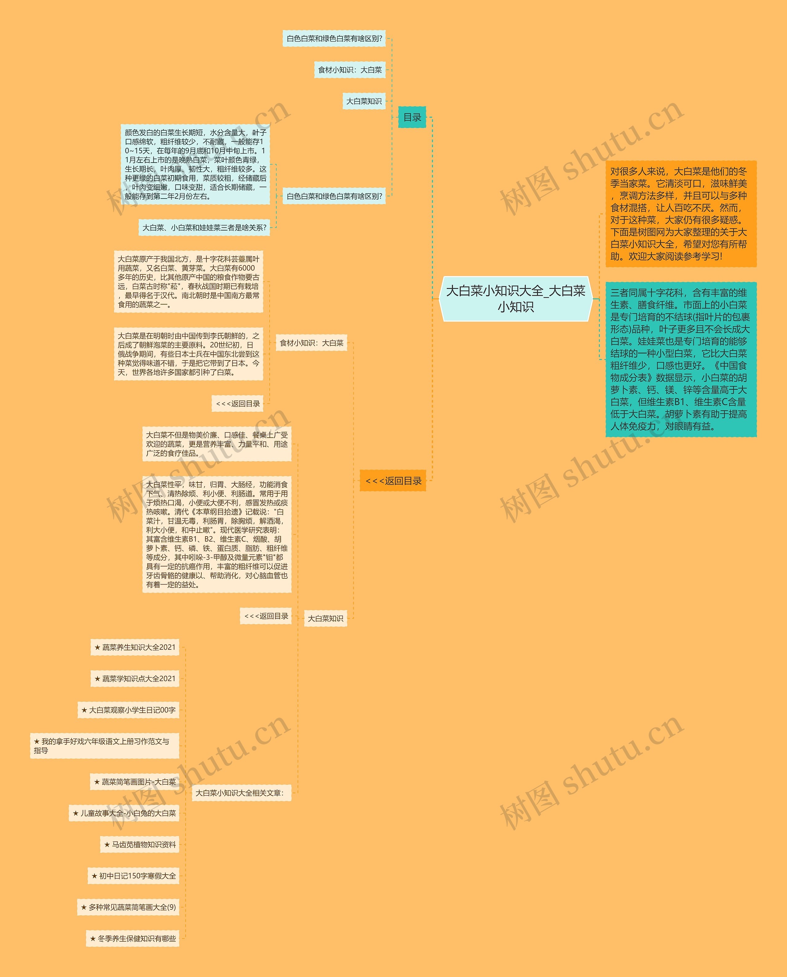 大白菜小知识大全_大白菜小知识思维导图