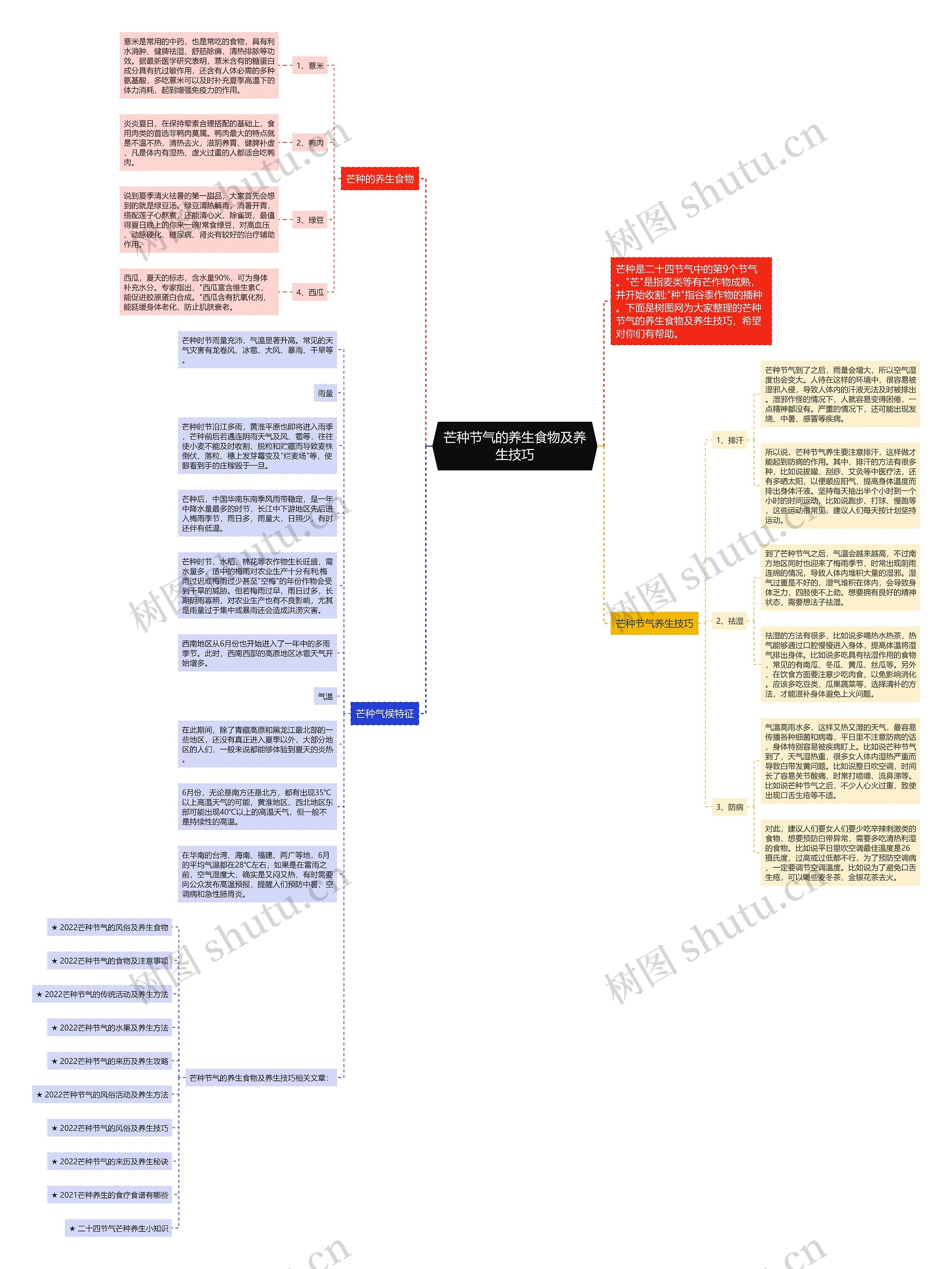 芒种节气的养生食物及养生技巧思维导图