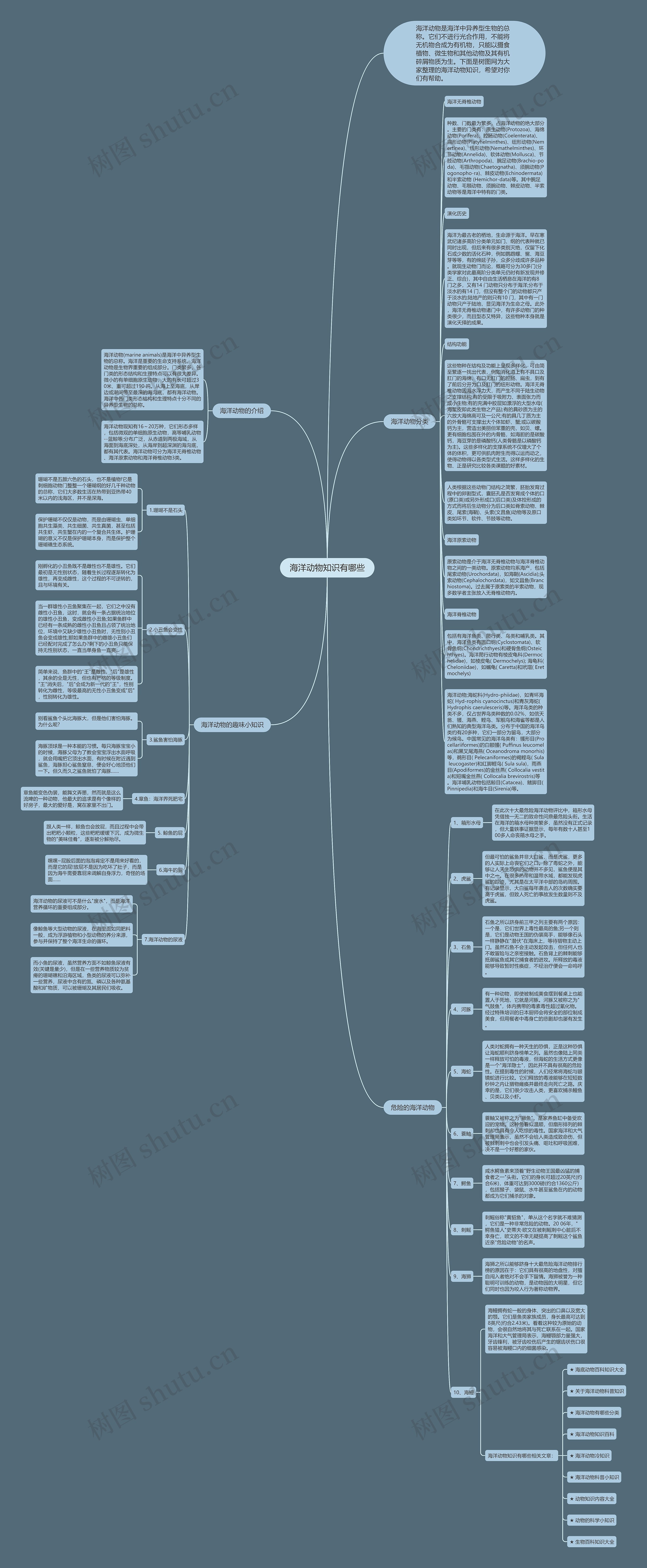 海洋动物知识有哪些思维导图