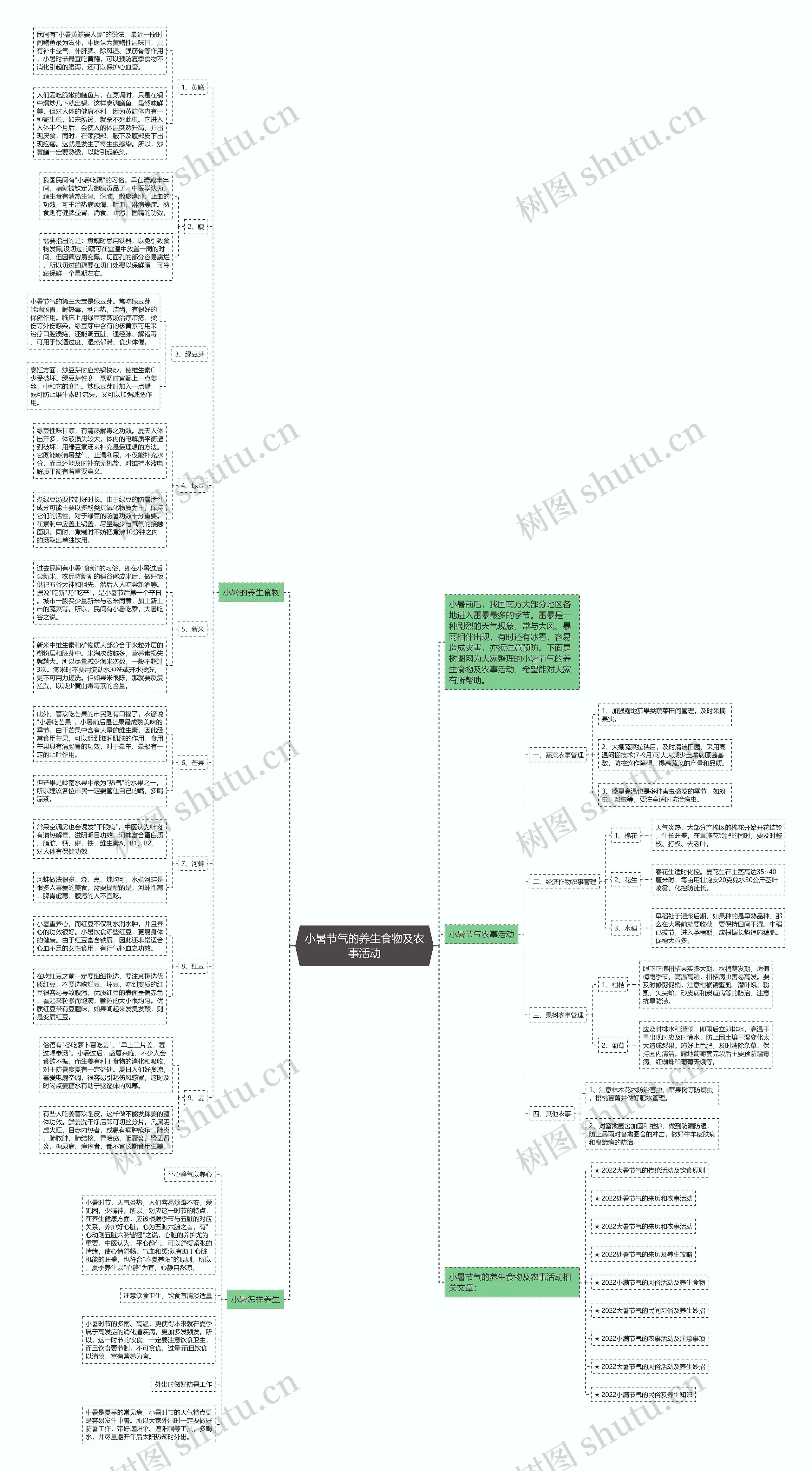 小暑节气的养生食物及农事活动思维导图