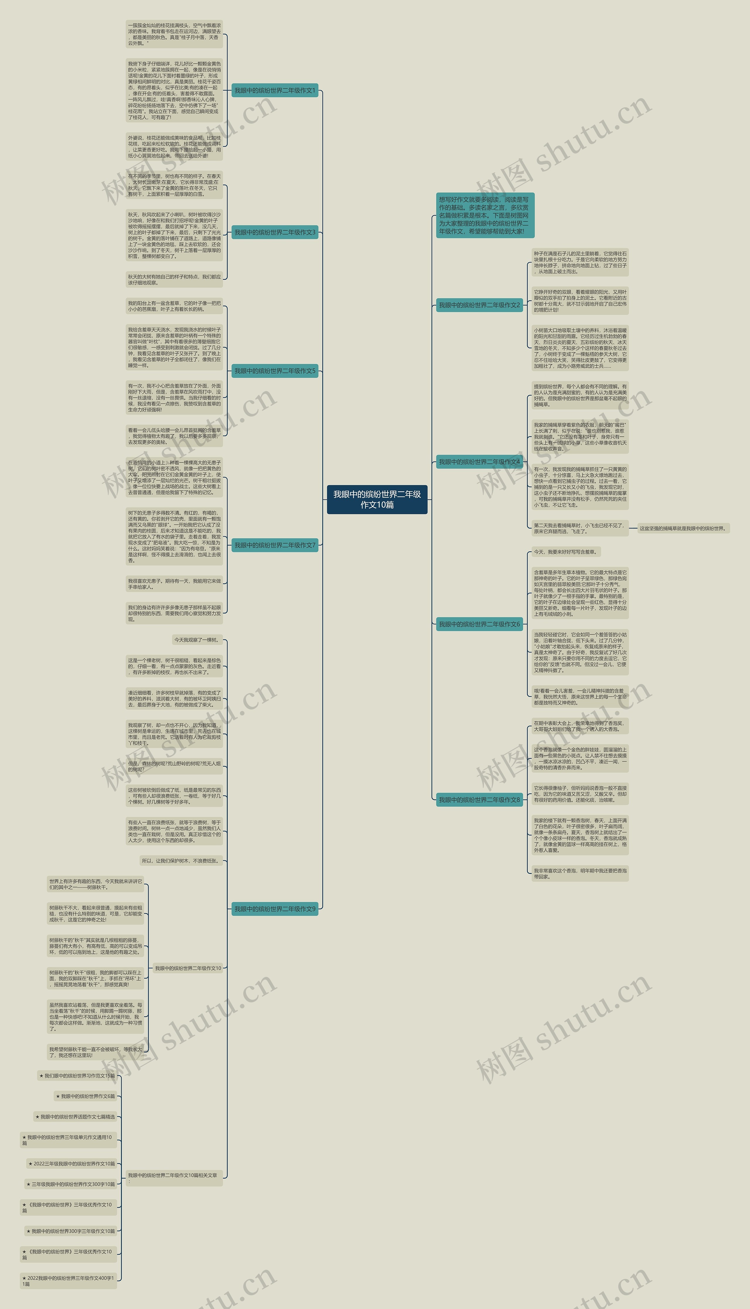 我眼中的缤纷世界二年级作文10篇思维导图
