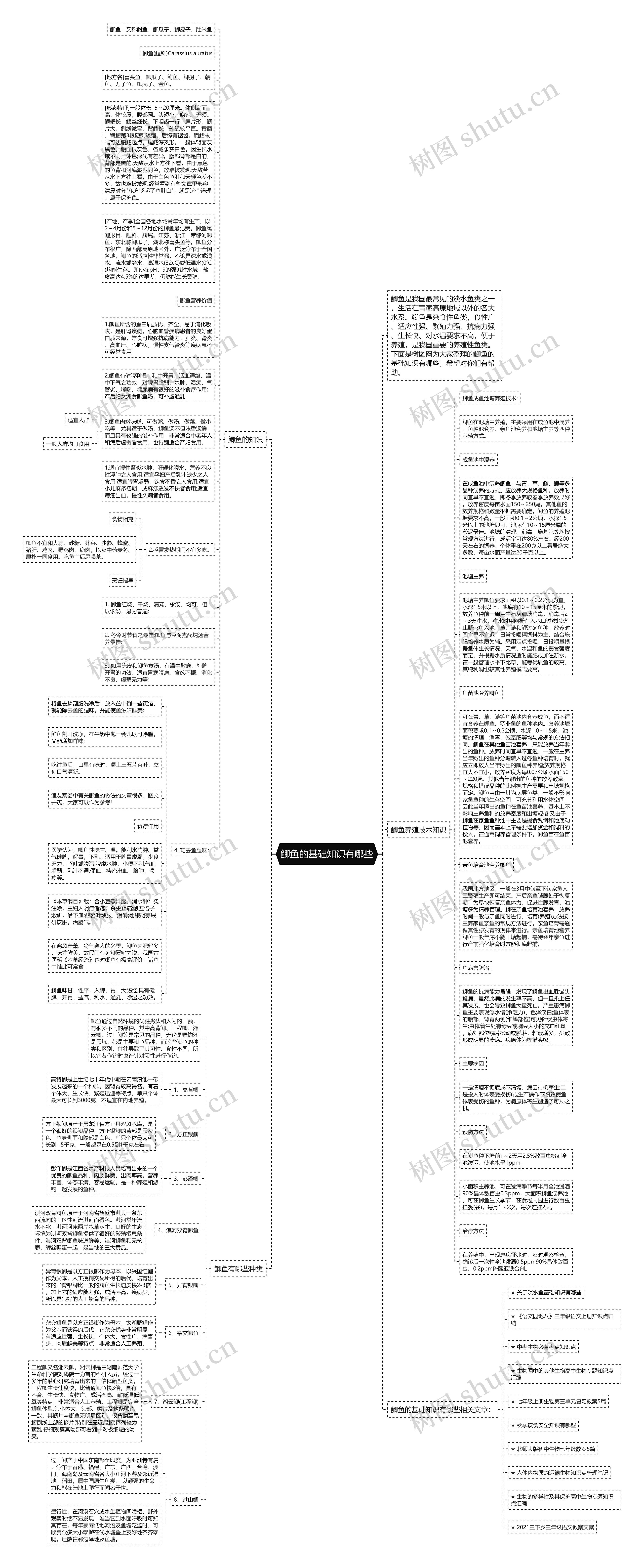 鲫鱼的基础知识有哪些思维导图