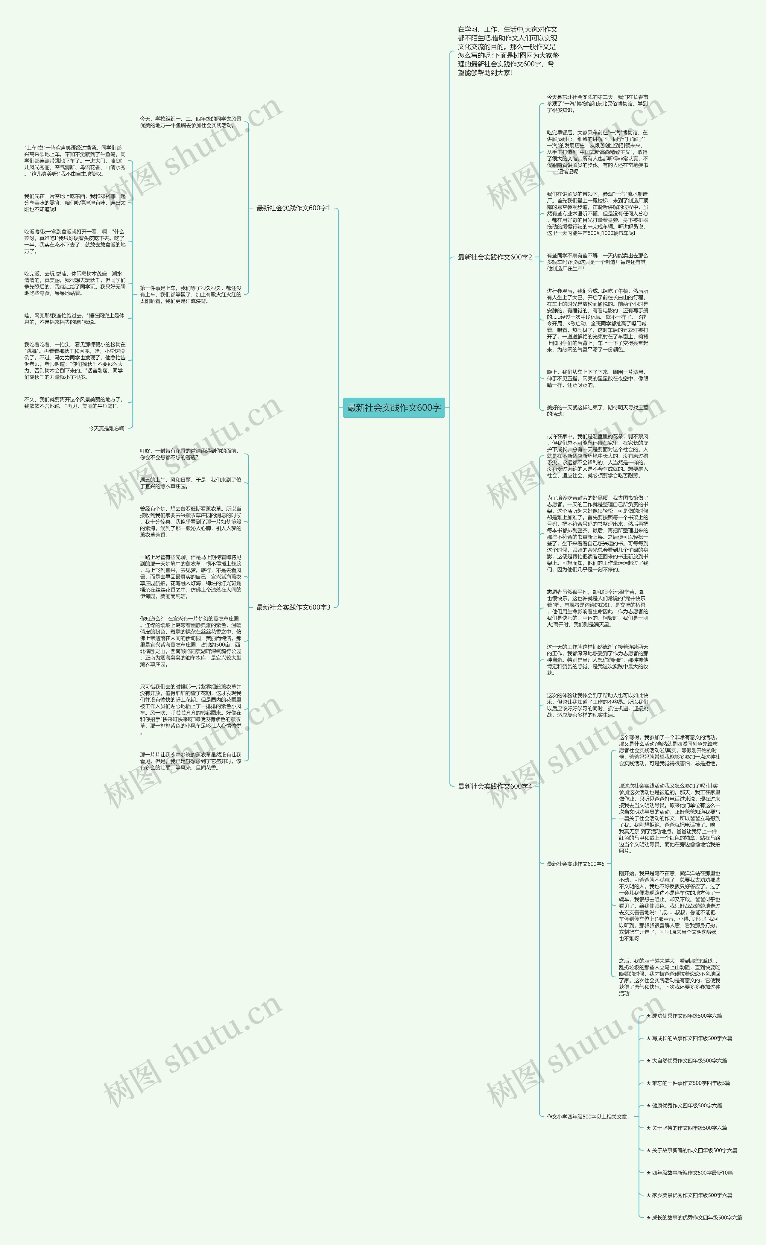 最新社会实践作文600字思维导图