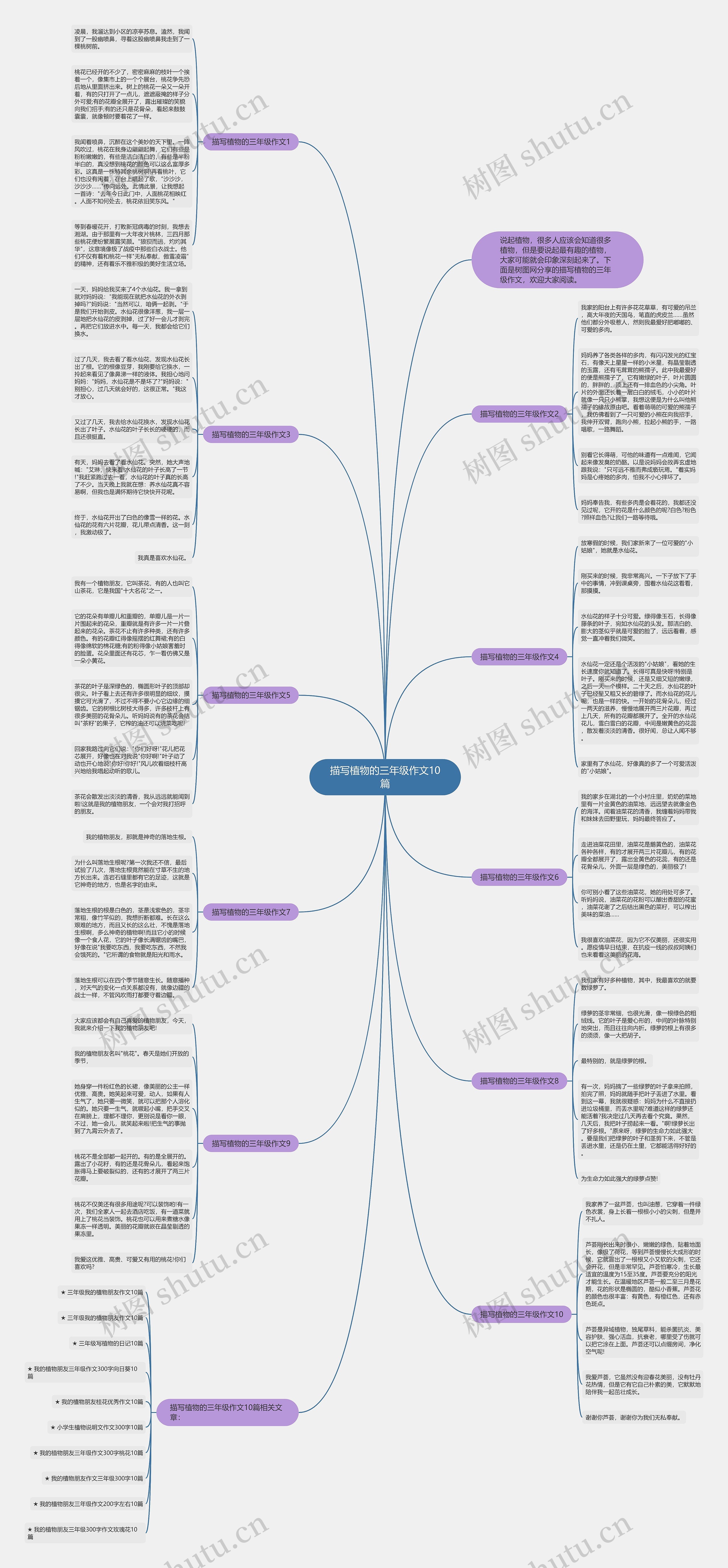 描写植物的三年级作文10篇思维导图
